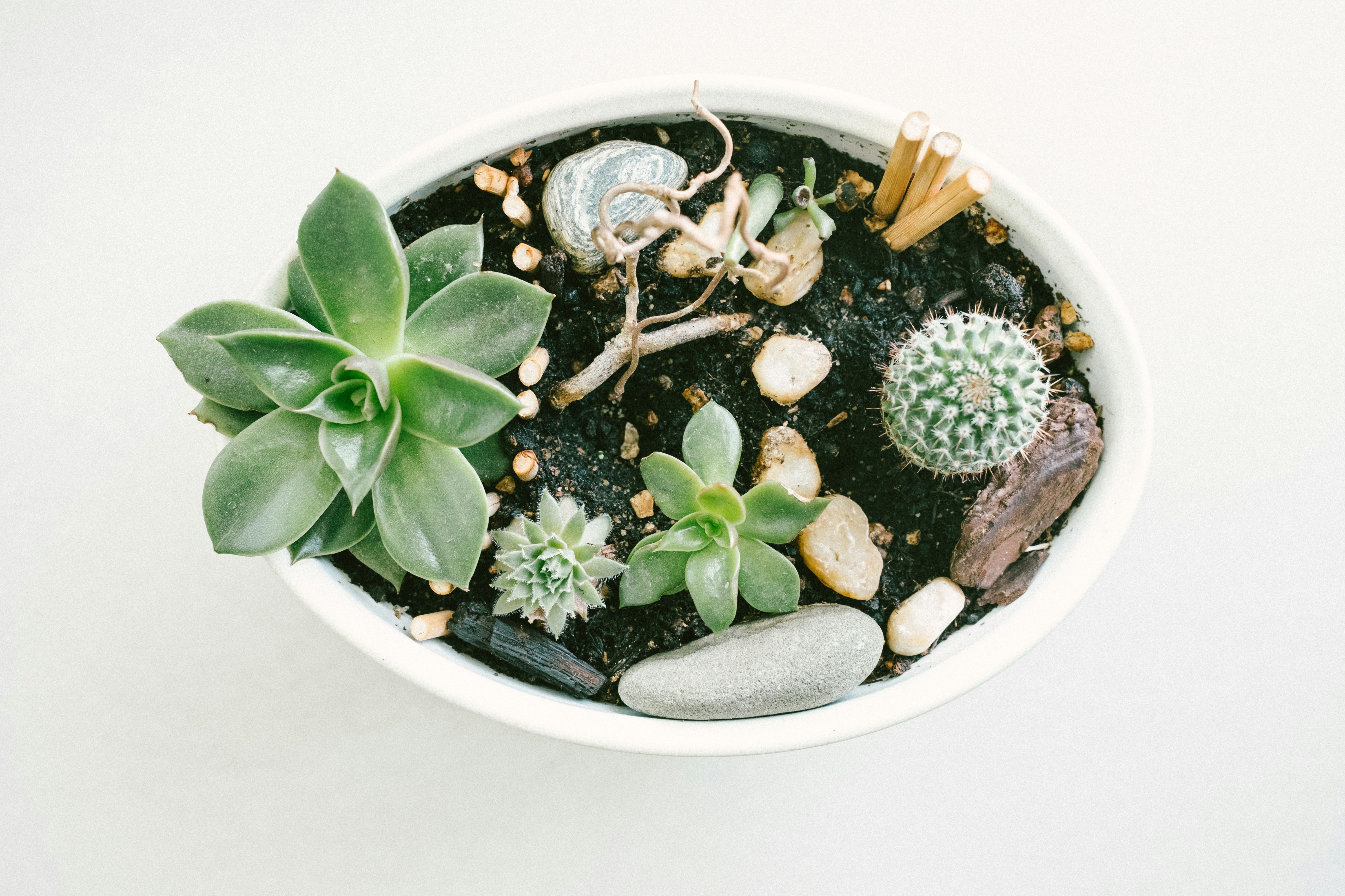 Photo by volkankacmaz