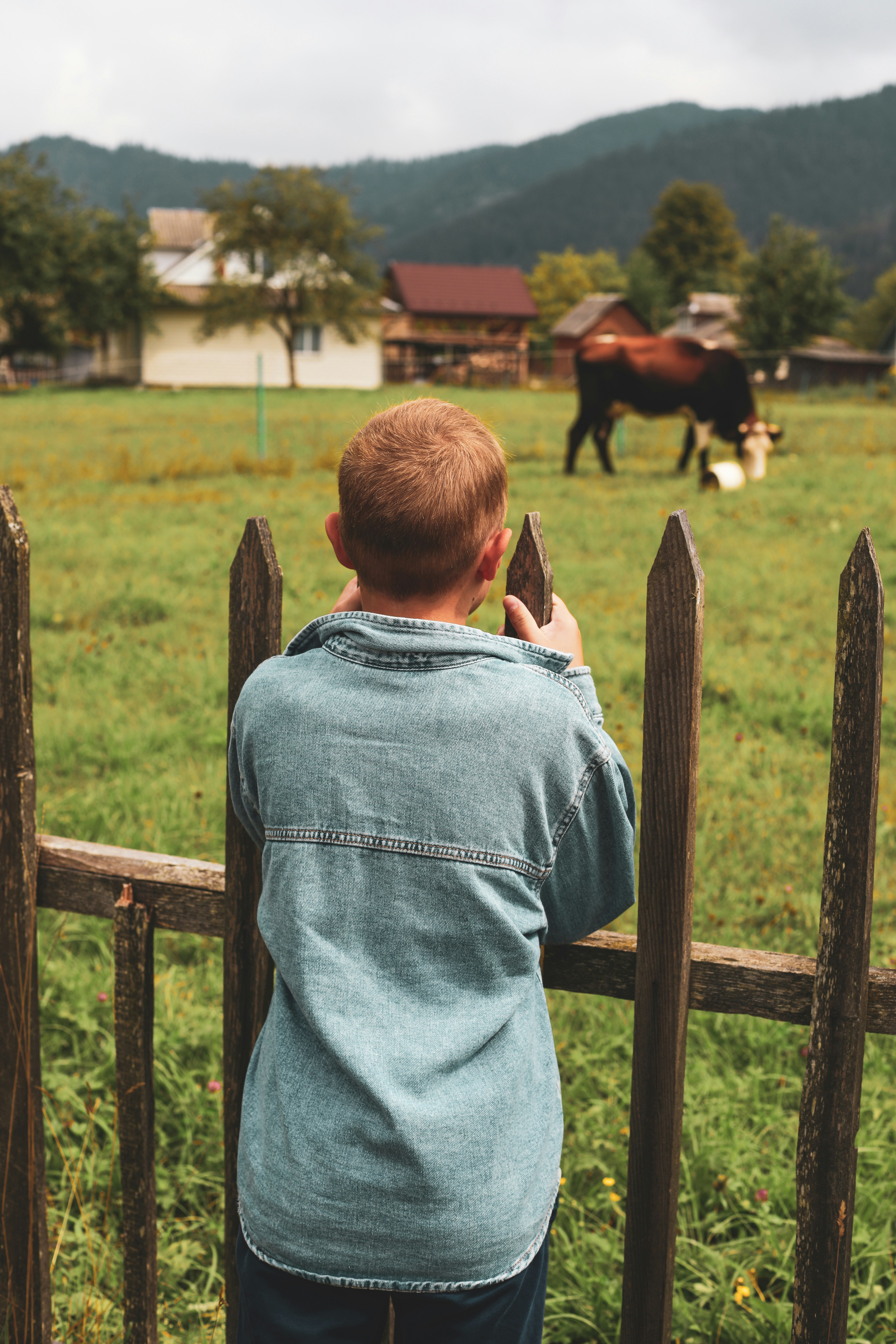 Photo by marina_malkova