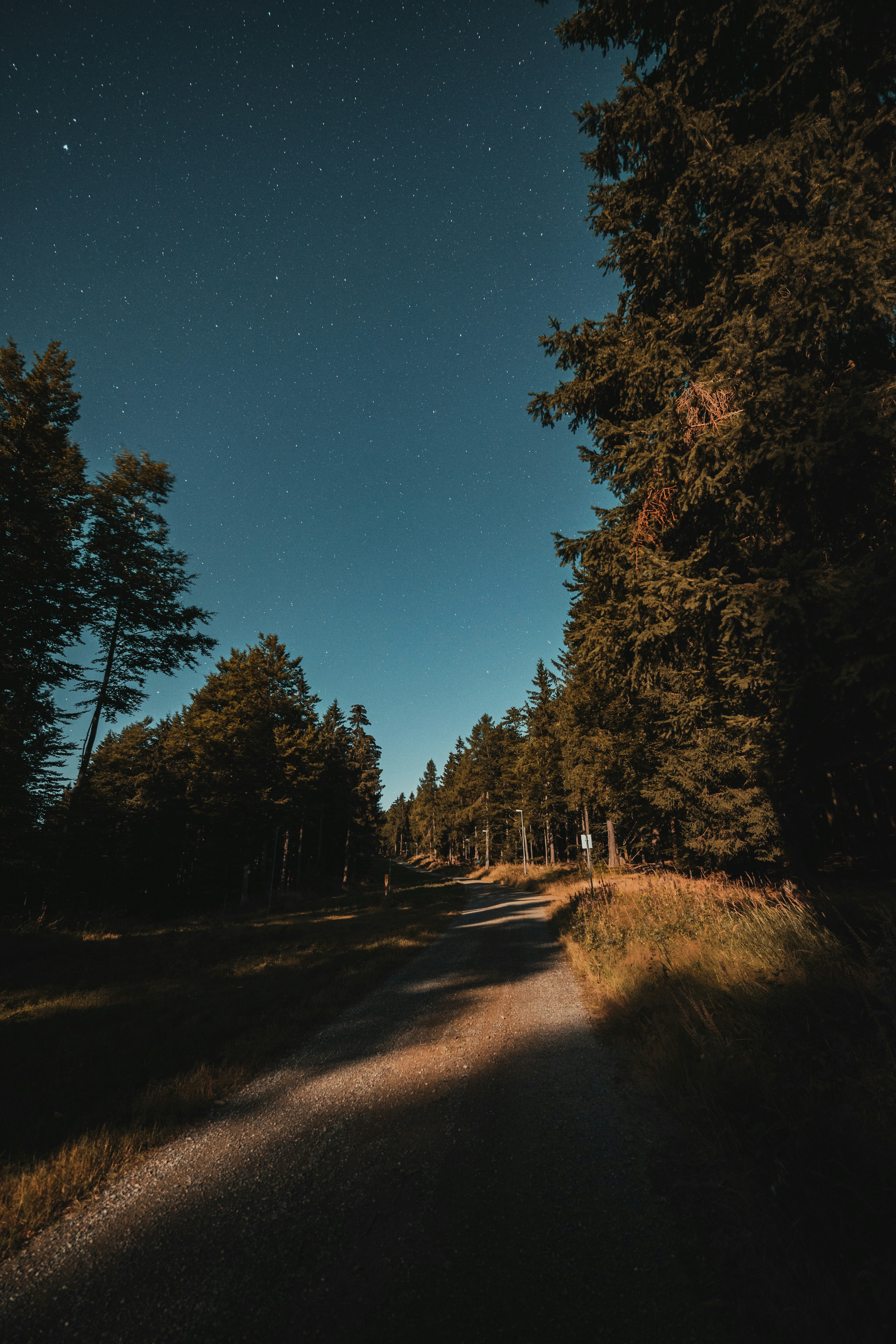 Photo by thebrowny
