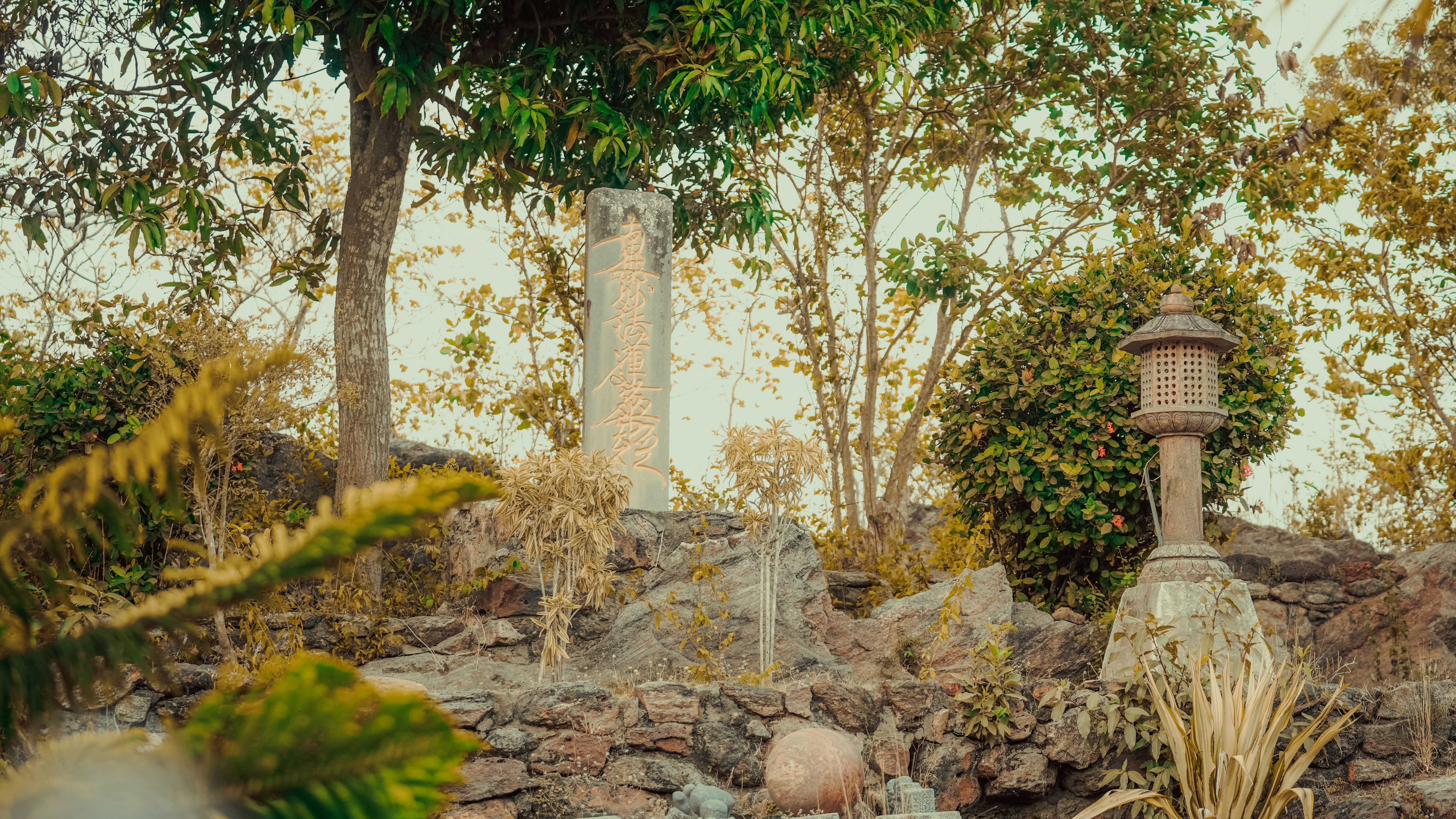 The Ace of Pentacles: Interpretation Guide