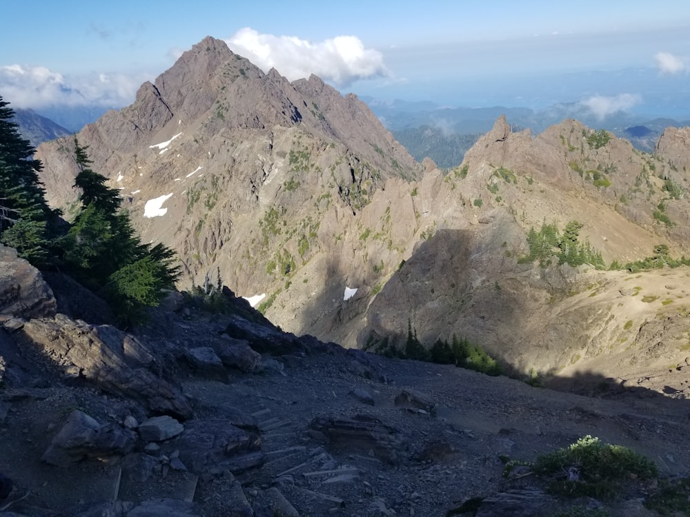 a rocky mountain with trees