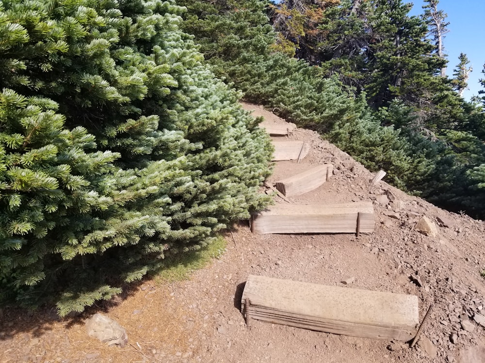 a small bridge over a river