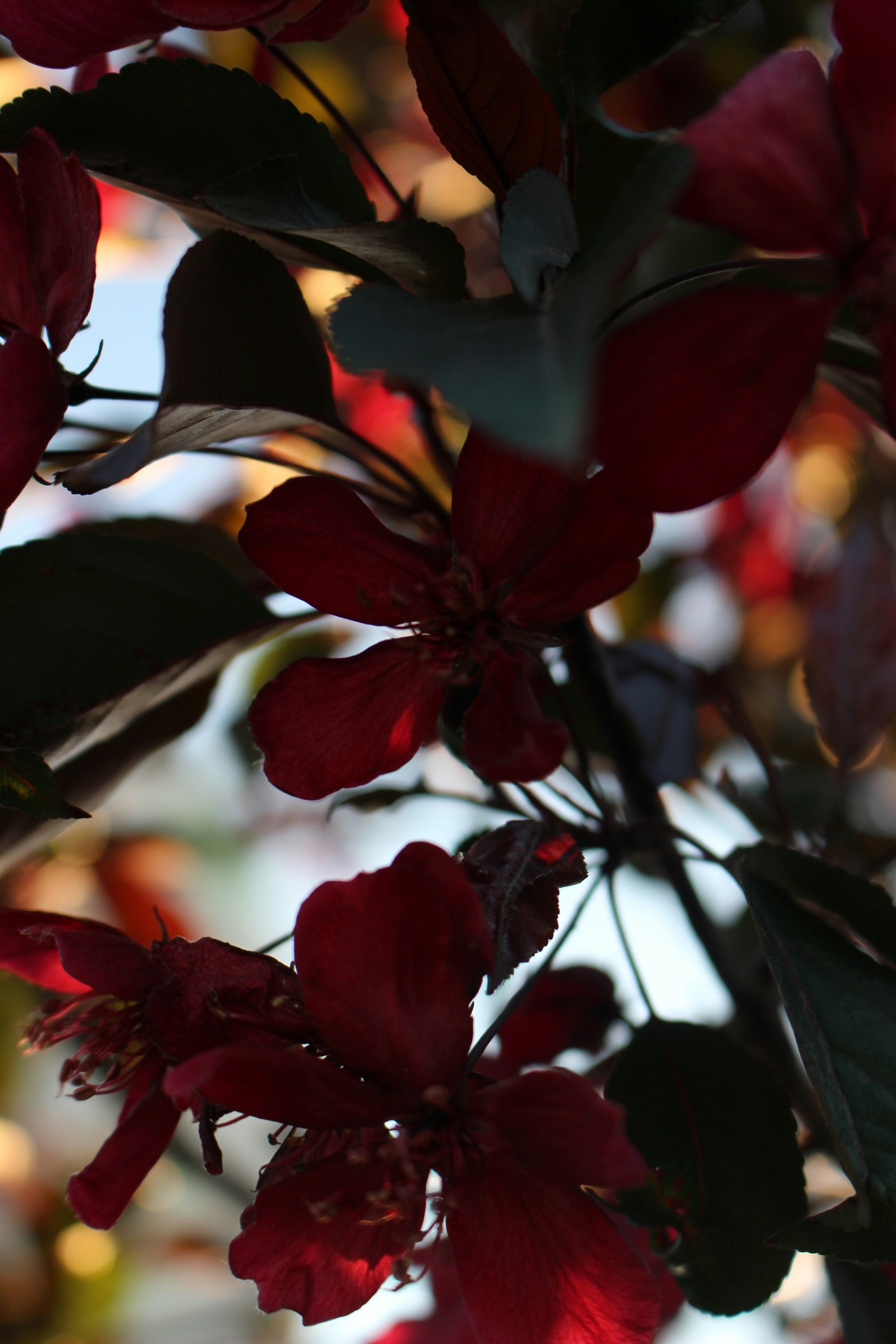 Photo by st_valentina