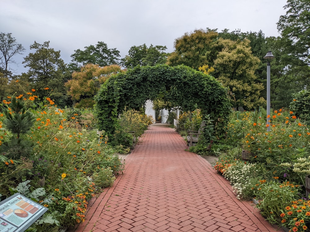 un camino con flores y árboles a ambos lados