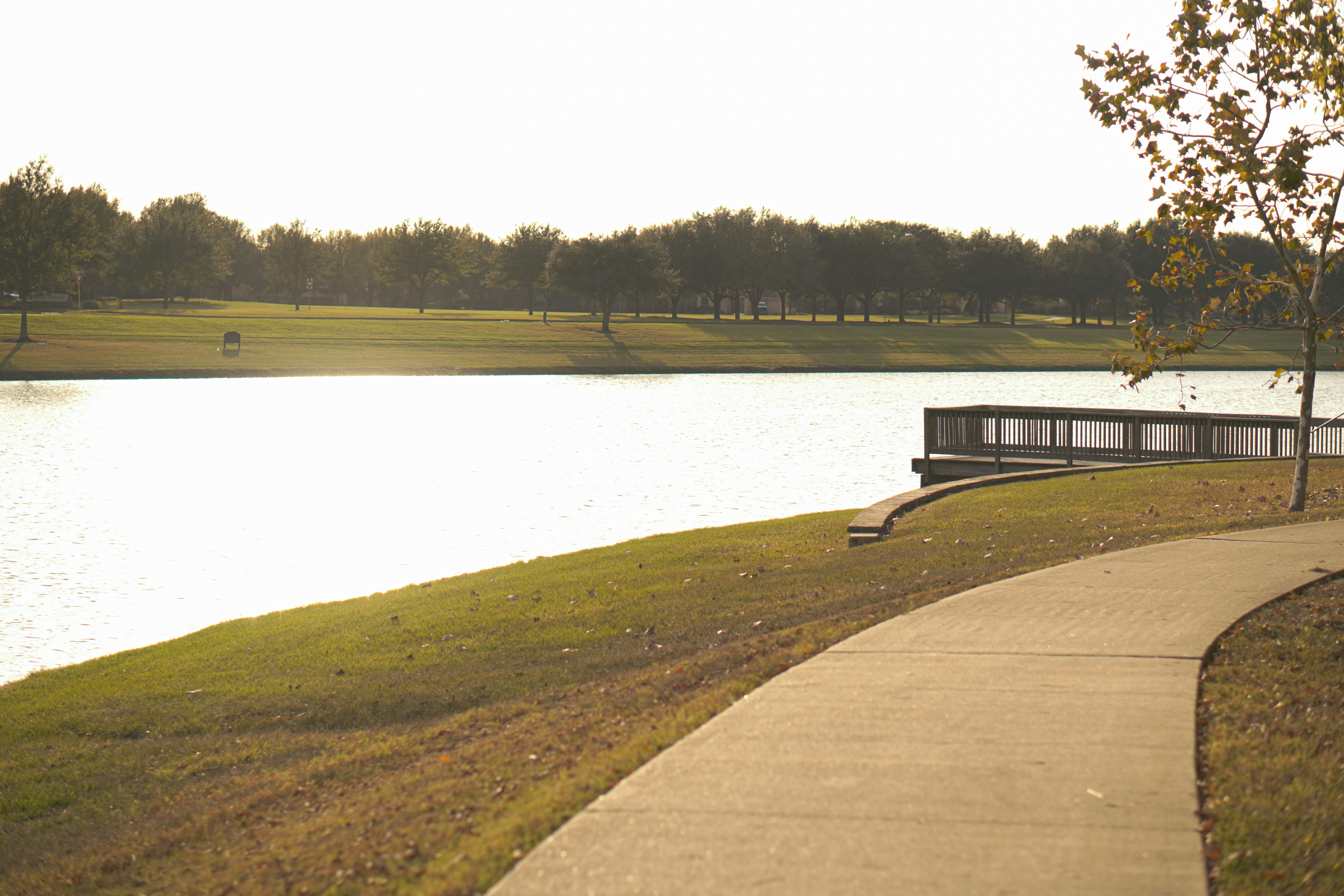 Willis Park