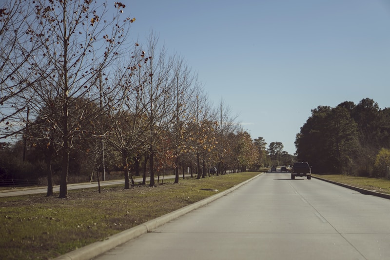 SpeedQuizzing at Daquiri Stop