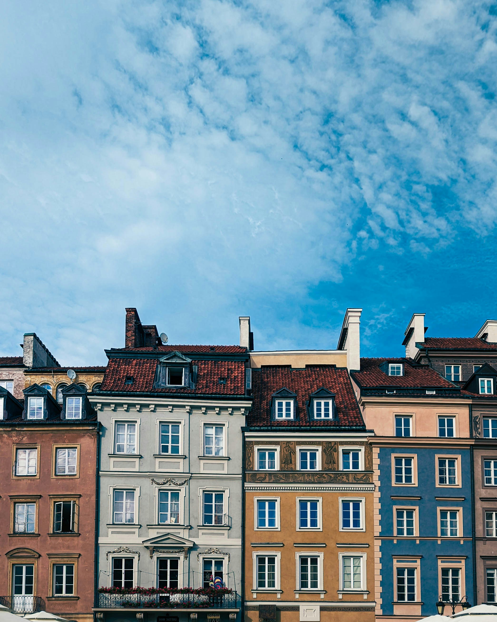 Photo by pinkfloydrose