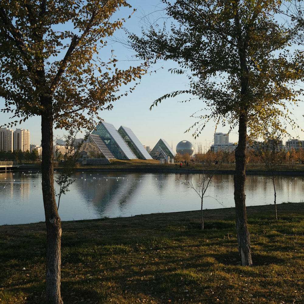 a body of water with trees and buildings in the background