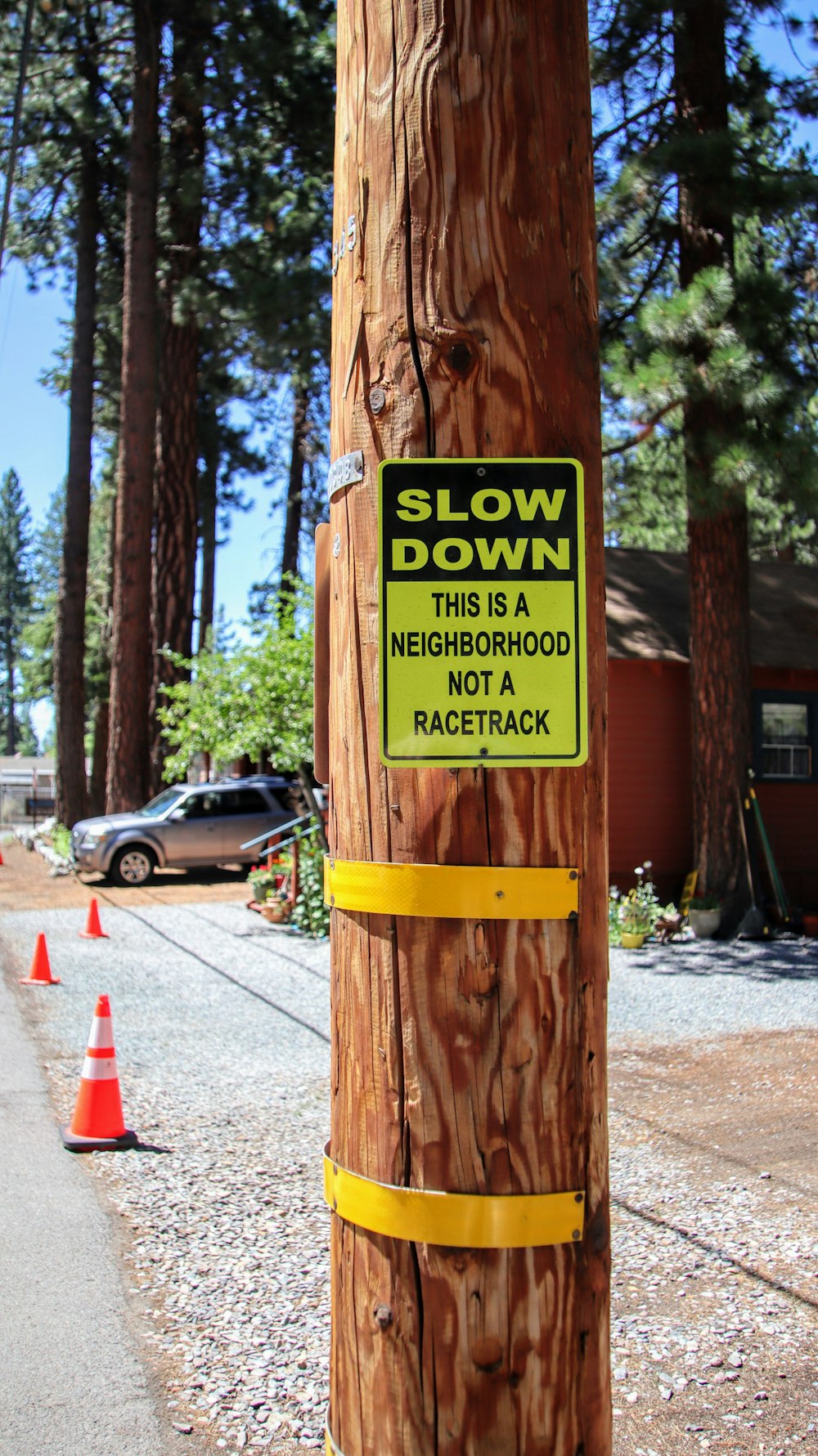 a sign on a tree