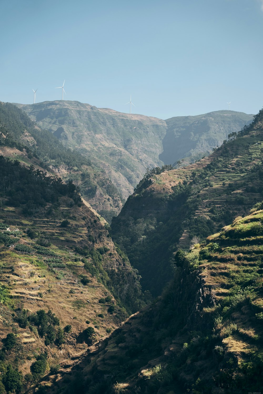 a large green valley