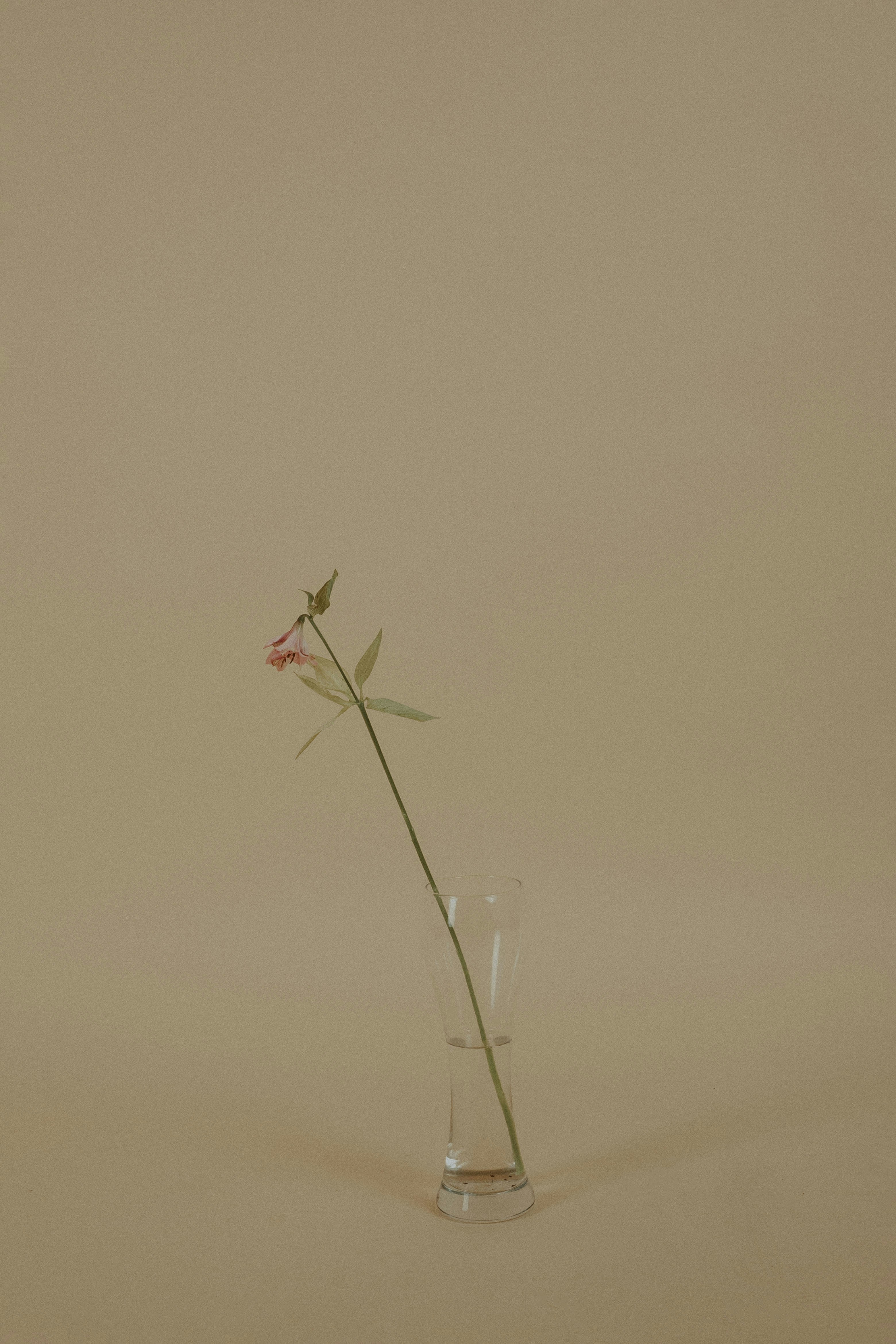 Photo by anvisualphoto_