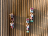 Four tractors are moving in parallel across a plowed field with precise lines of soil. They appear to be engaged in an agricultural task, possibly planting or harvesting. The lighting and shadows suggest the image was taken during golden hour.