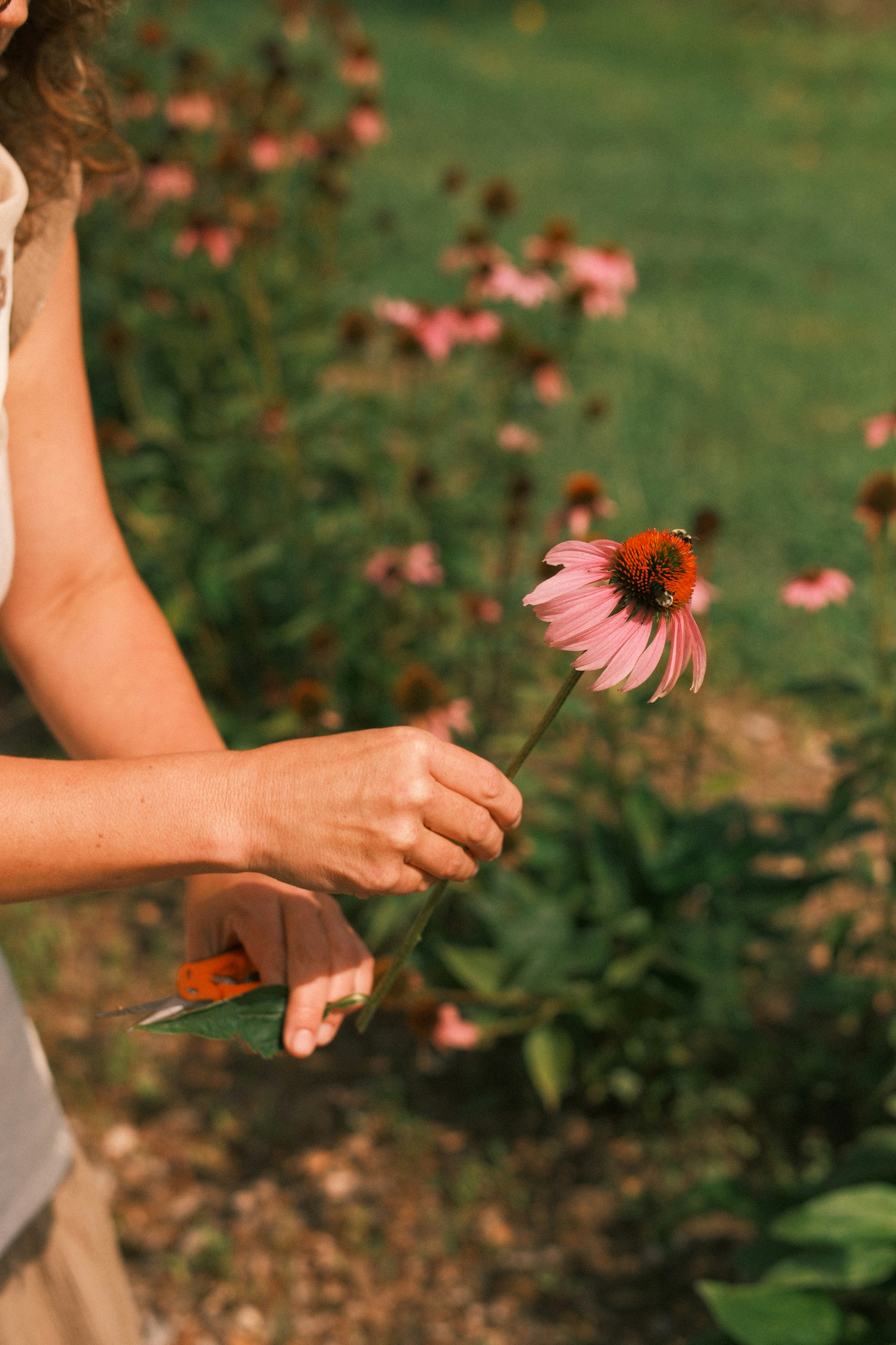 Photo by taylorheeryphoto