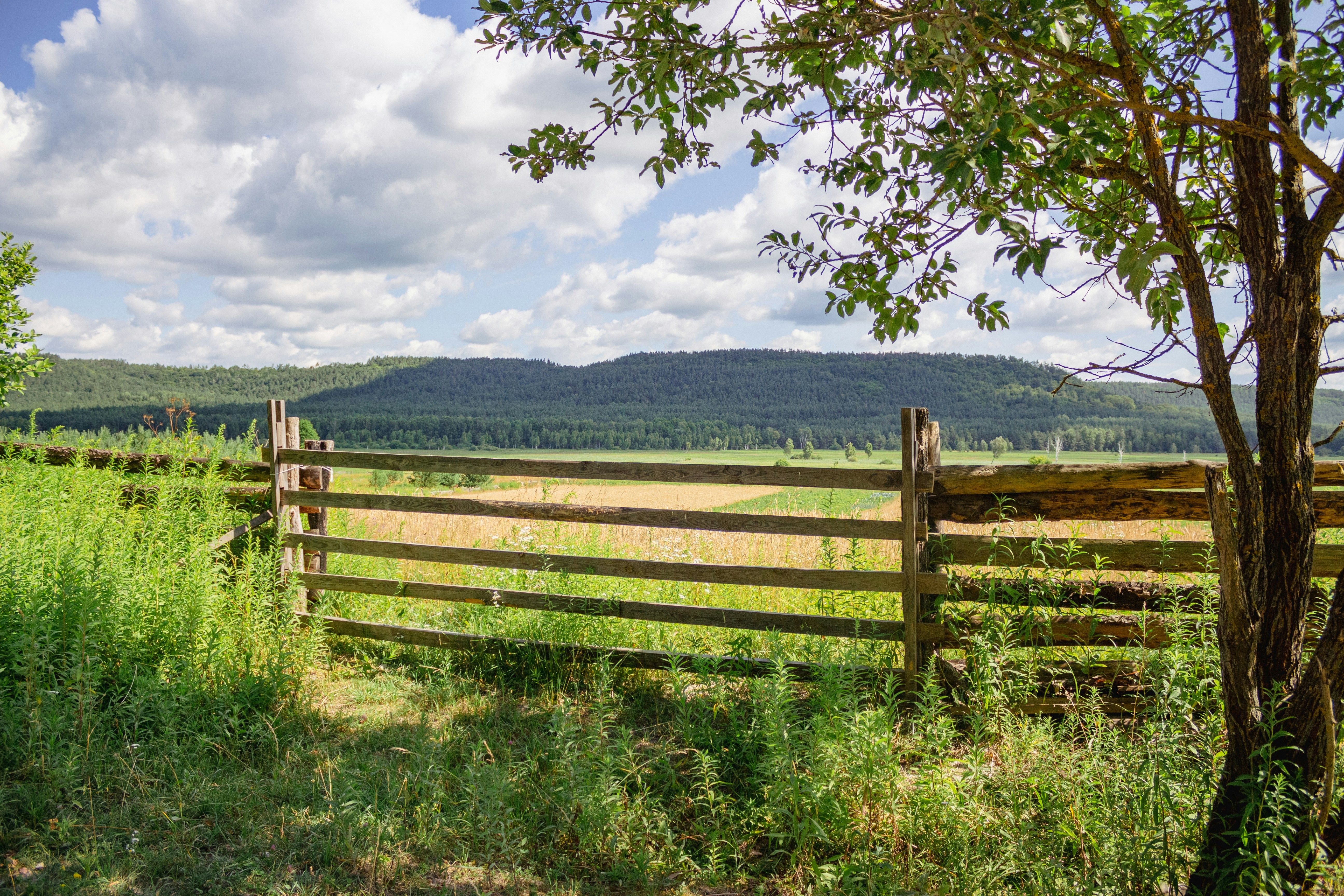 Photo by viktorsmoliak