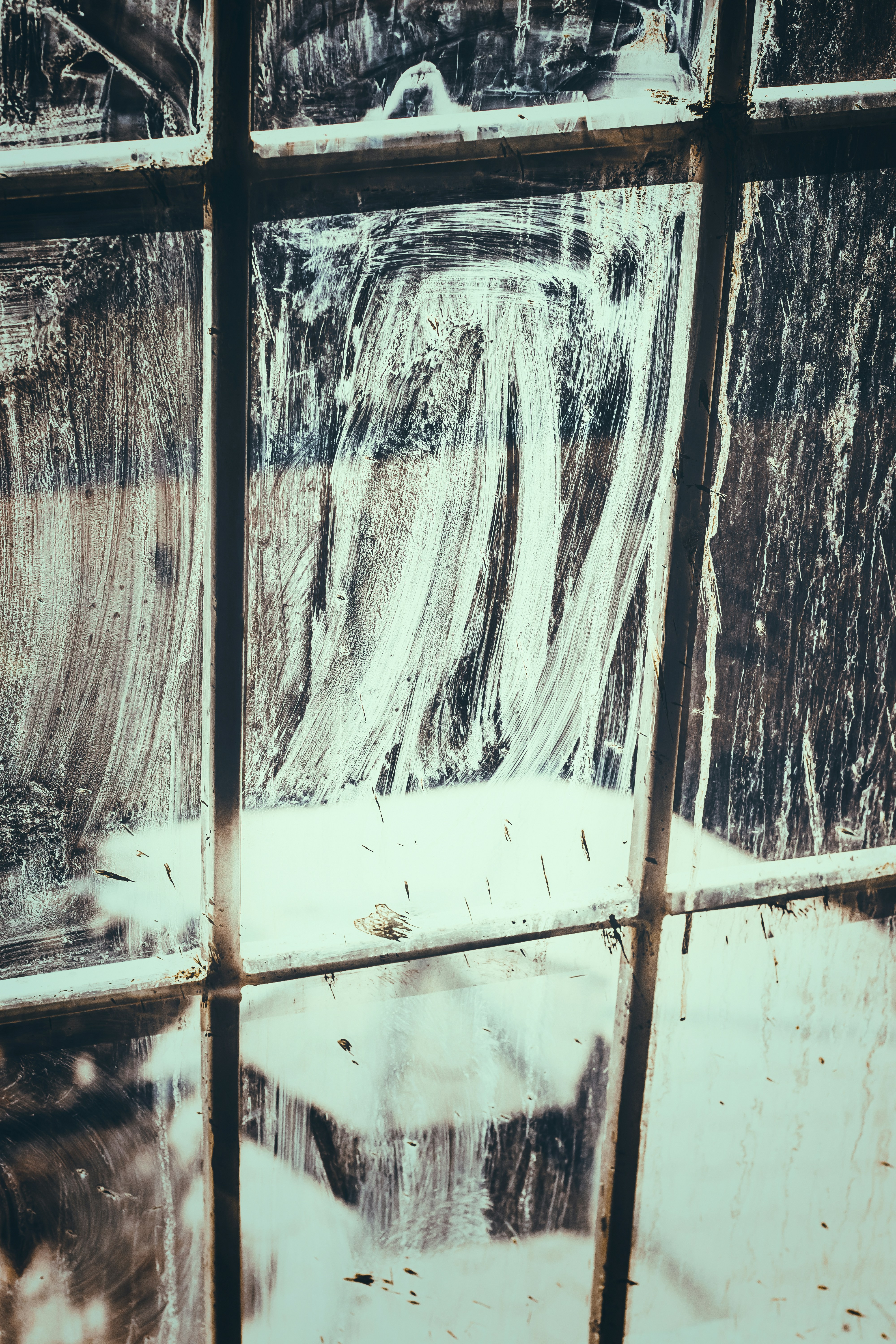 Photo by mahdibafande