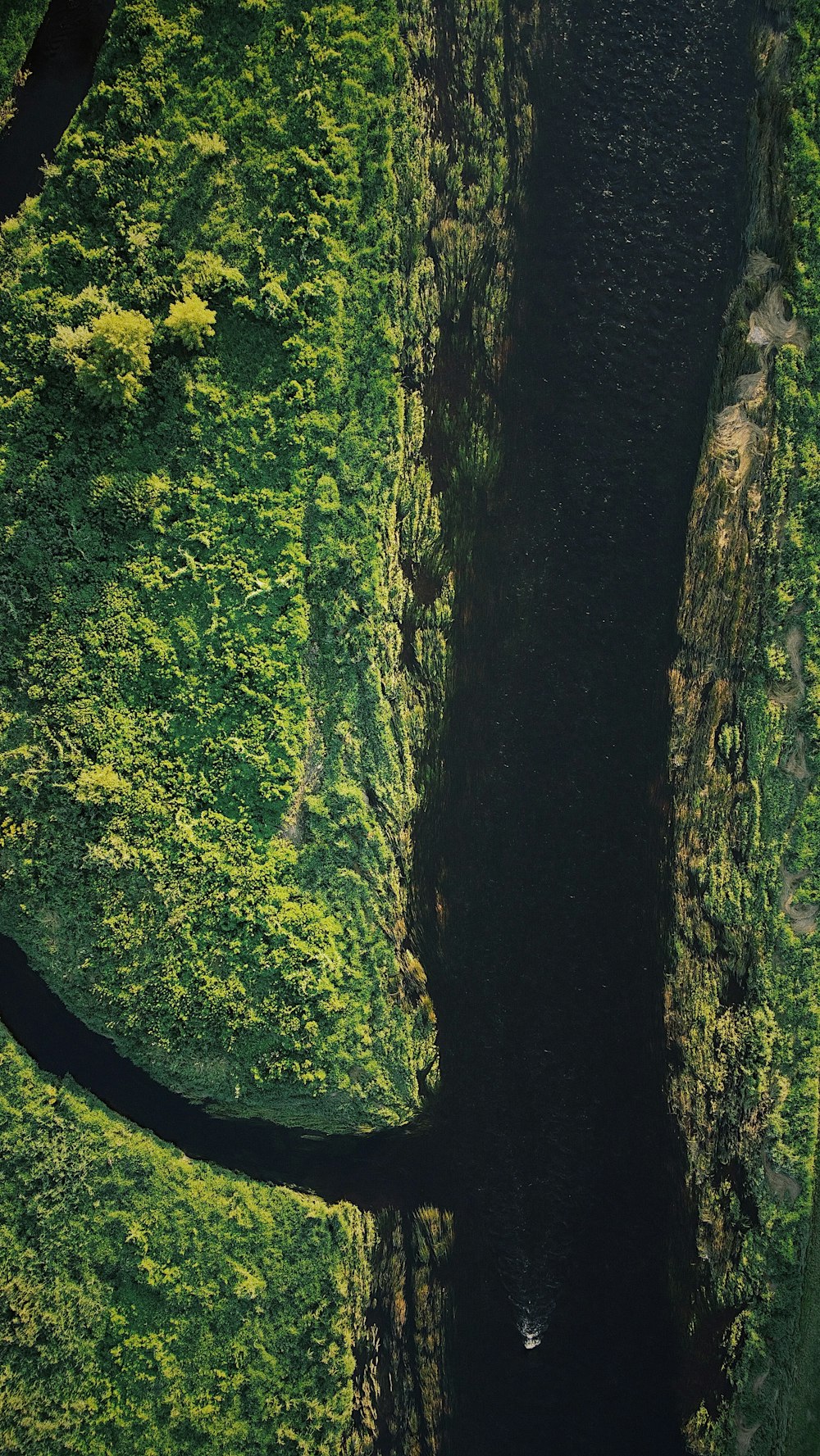 um rio com árvores ao lado