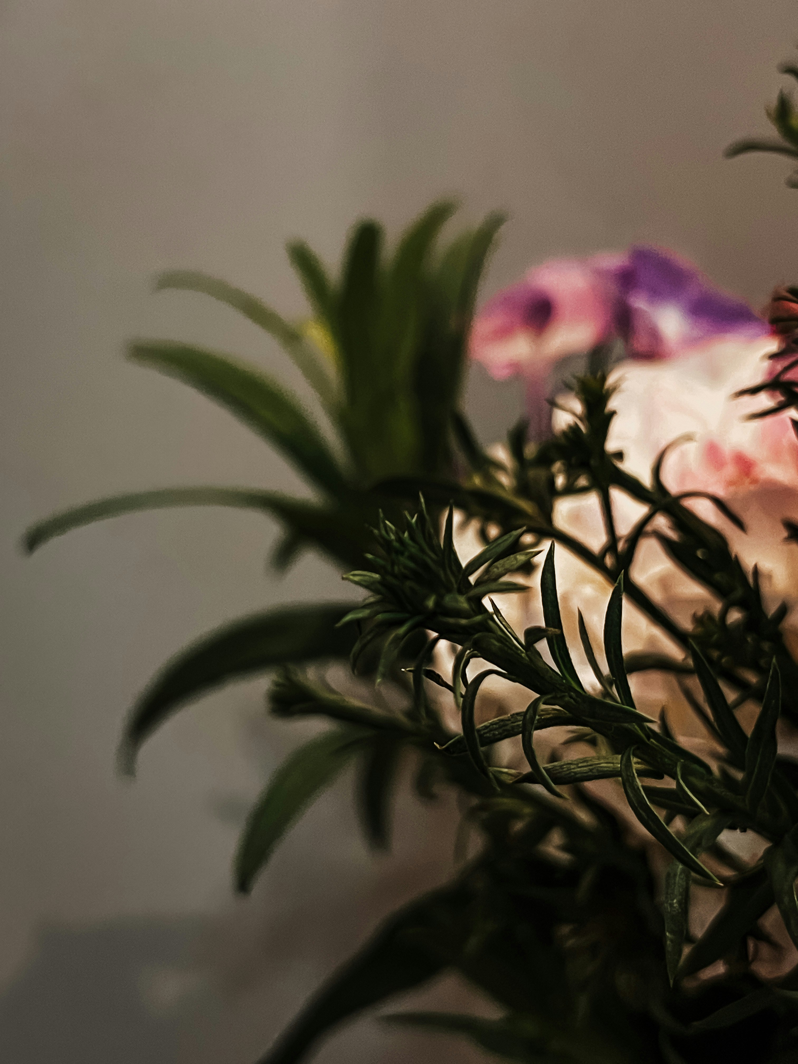 Photo by khrystyna_vatsyk