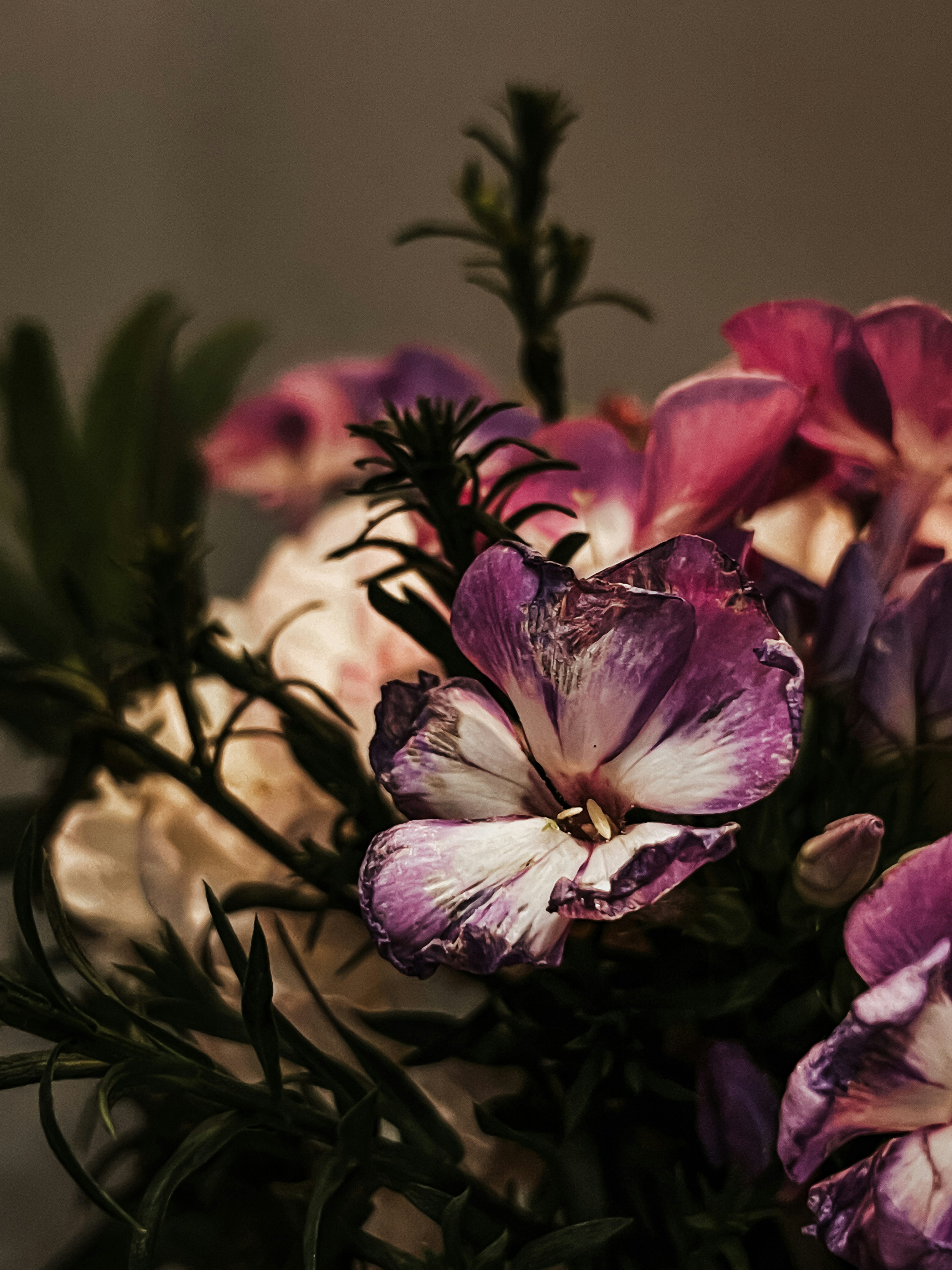 Photo by khrystyna_vatsyk