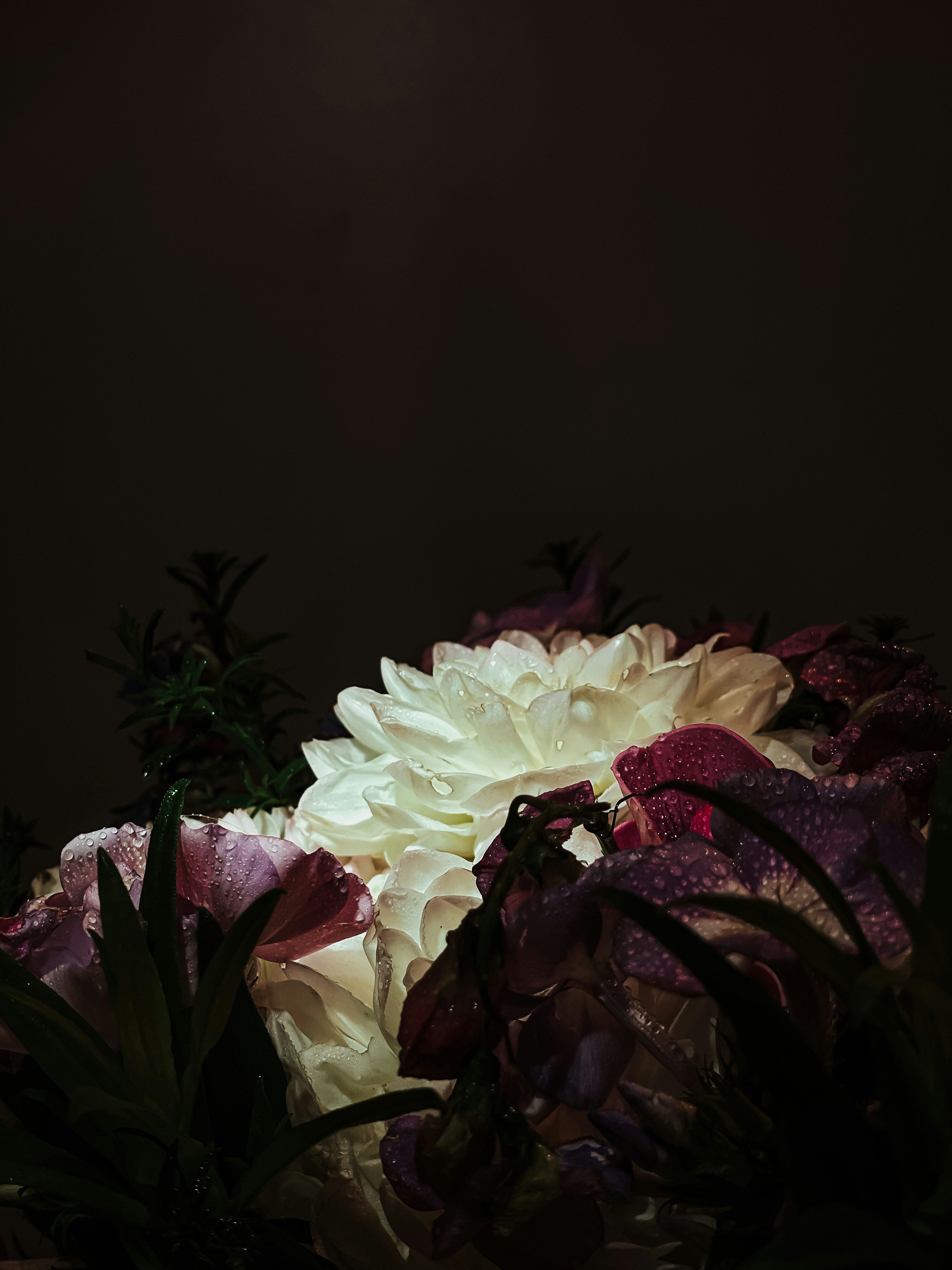 Photo by khrystyna_vatsyk