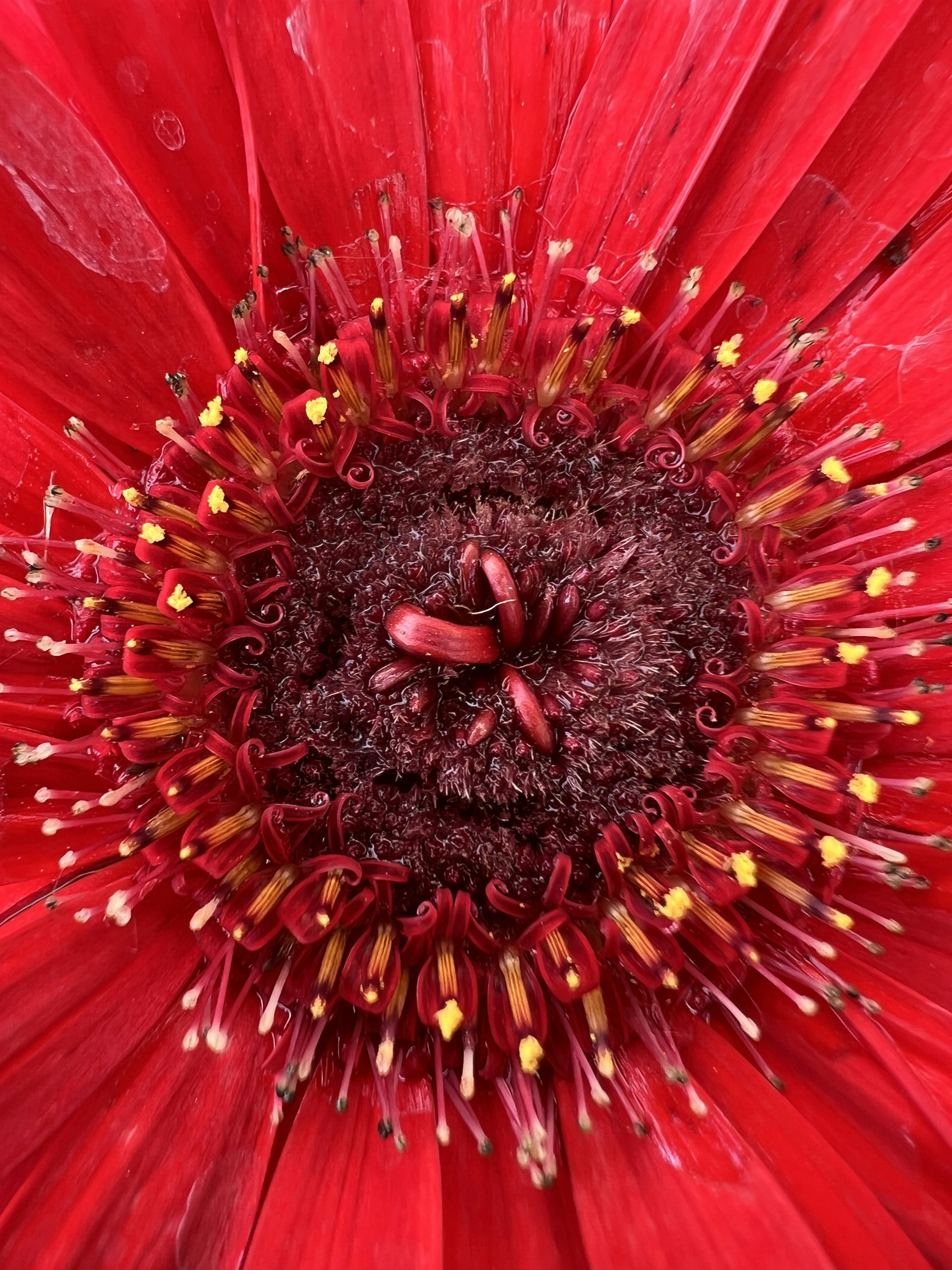 Photo by serendipity_pk