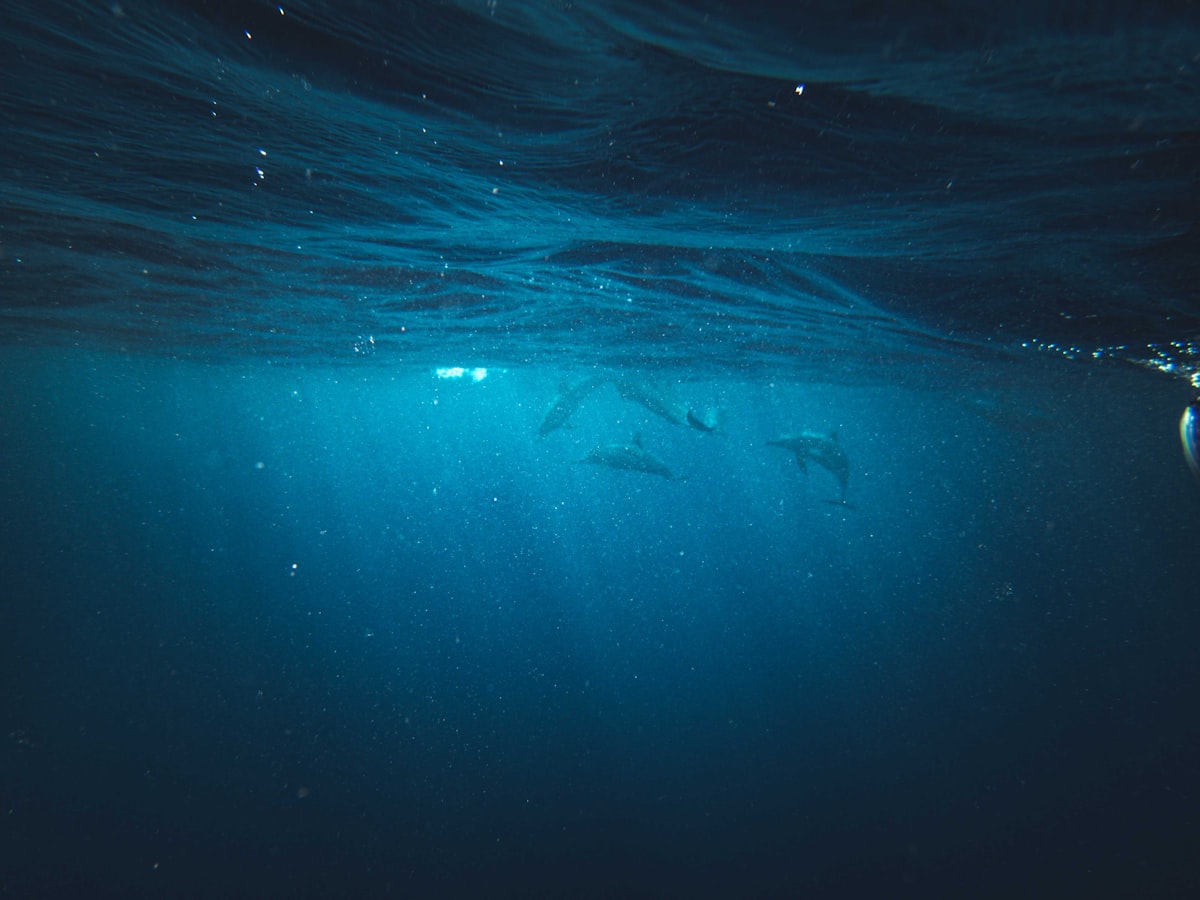 Southern Red Sea