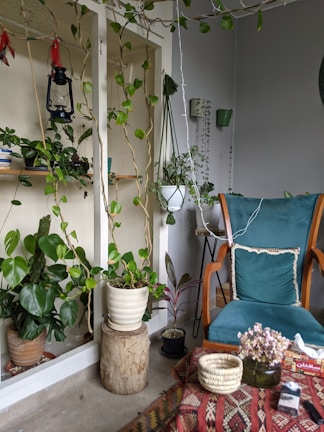 A cozy indoor space filled with greenery, featuring a variety of potted plants on shelves and hanging from the ceiling. A vintage lantern and a dreamcatcher hang as decorative pieces. A comfortable armchair with a teal cushion is positioned near a table covered with a patterned cloth, on which rests a woven basket, a vase with dried flowers, and a box of tissues.