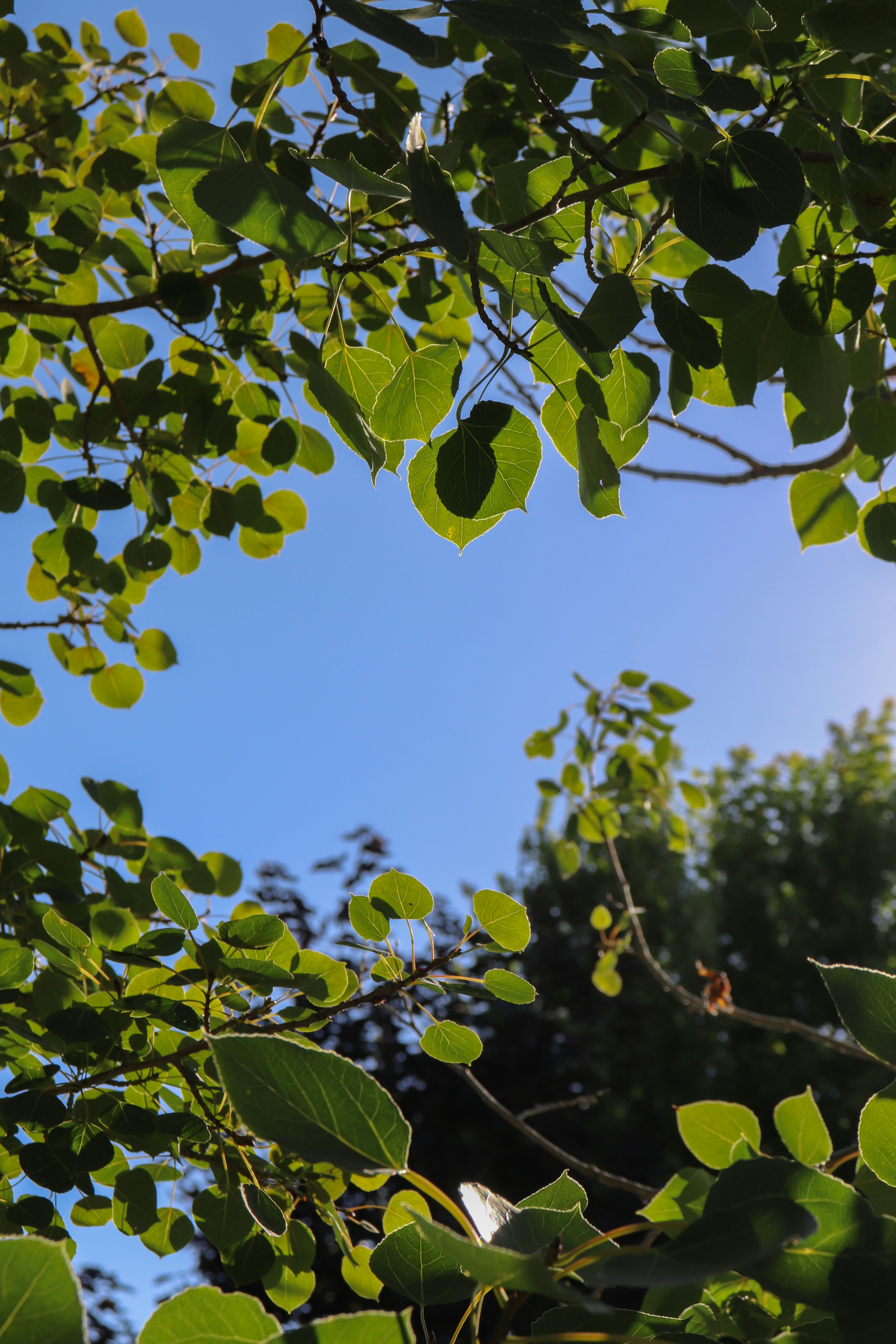 Photo by jennifergrismer