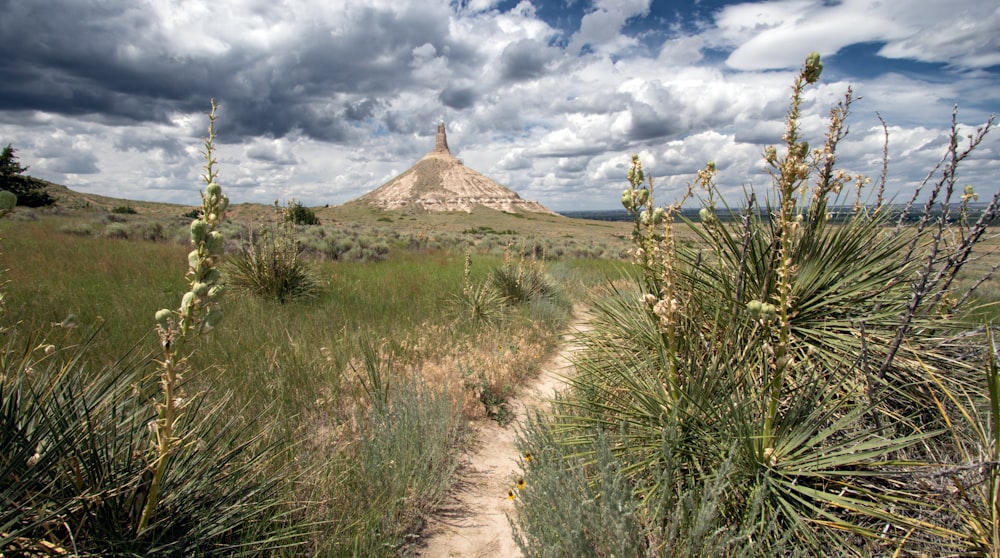 a dirt road leading to a pyramid