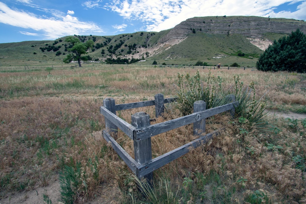 a fence in a field