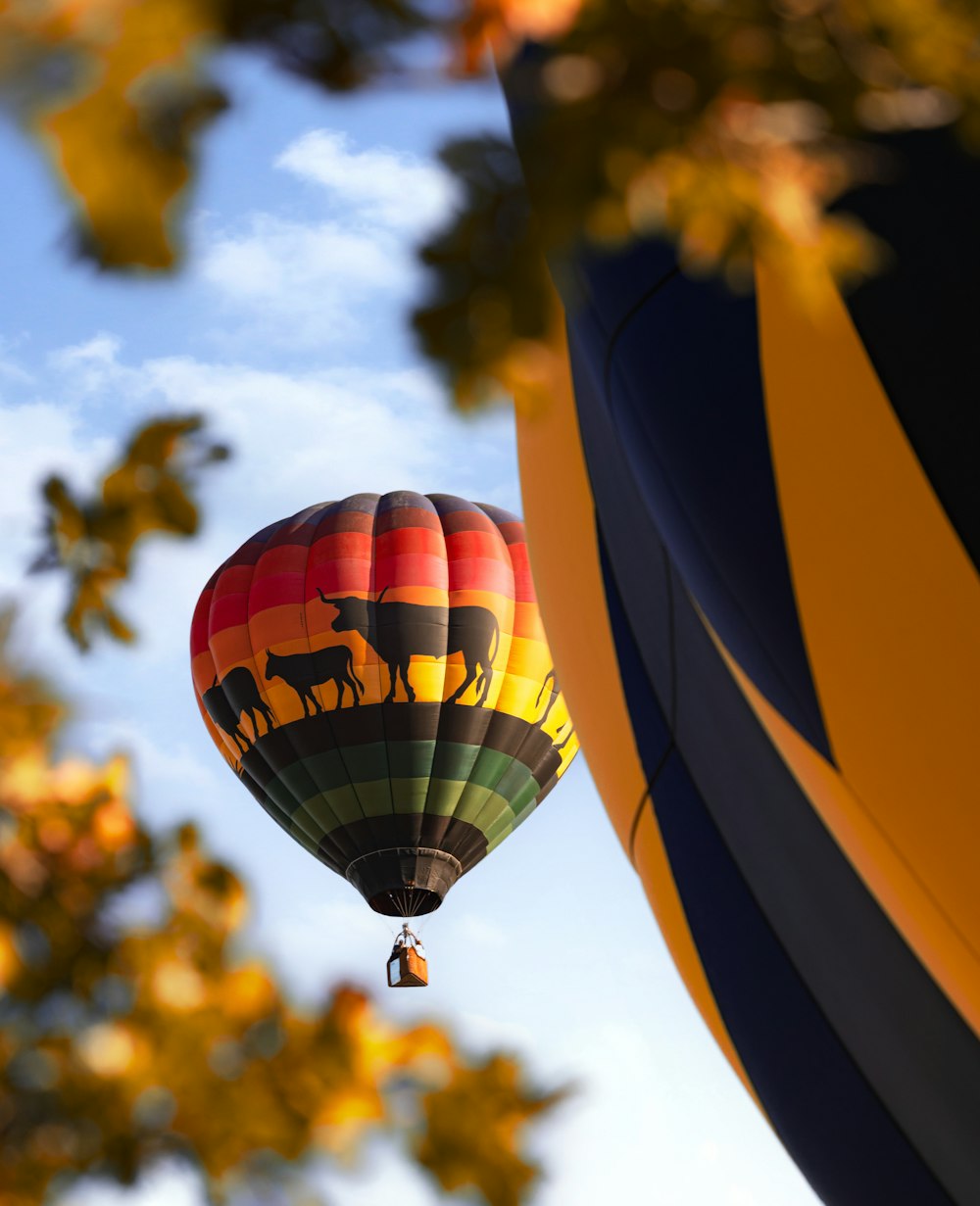 a couple of hot air balloons