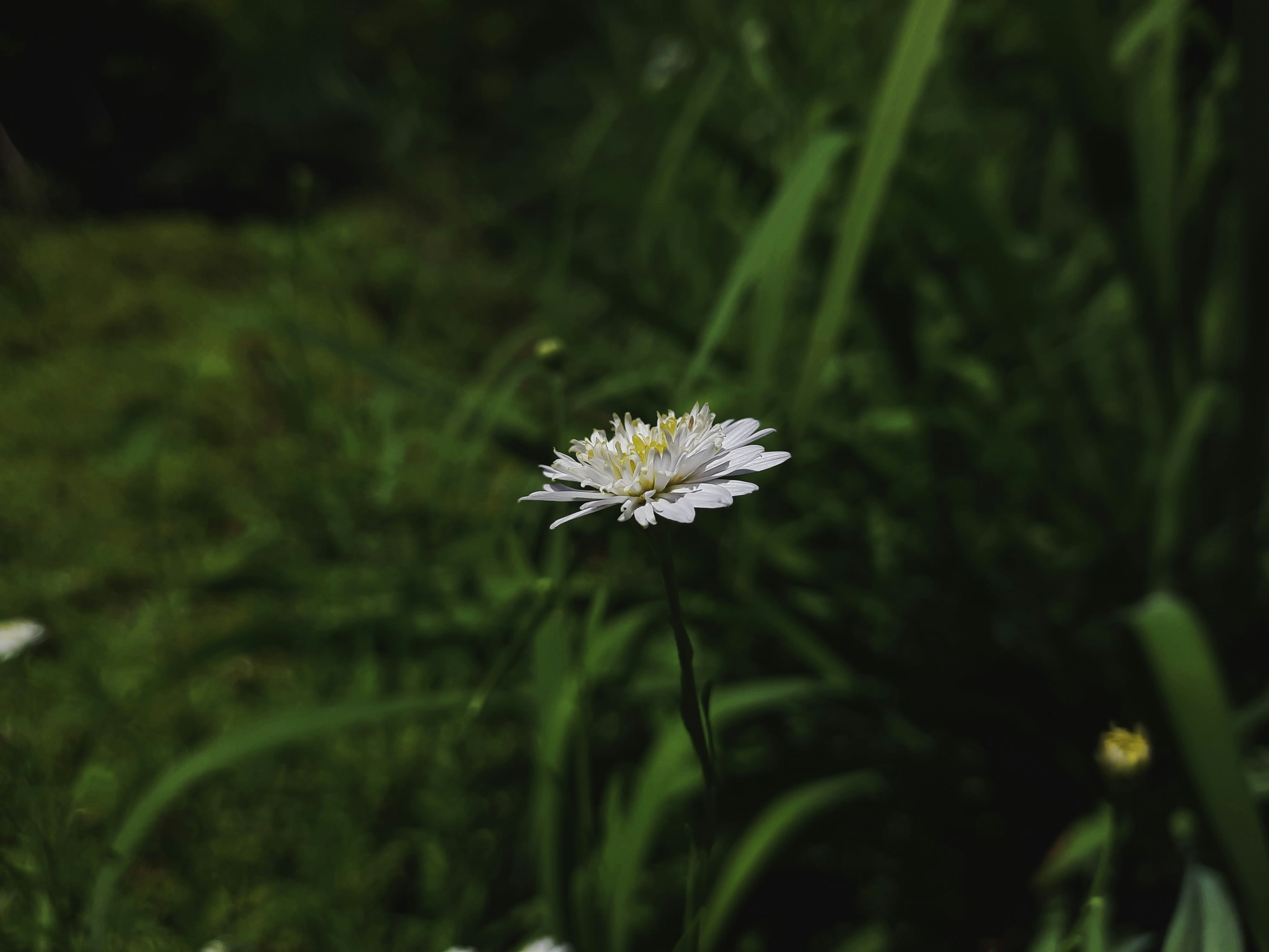 Photo by gabrielle_wright