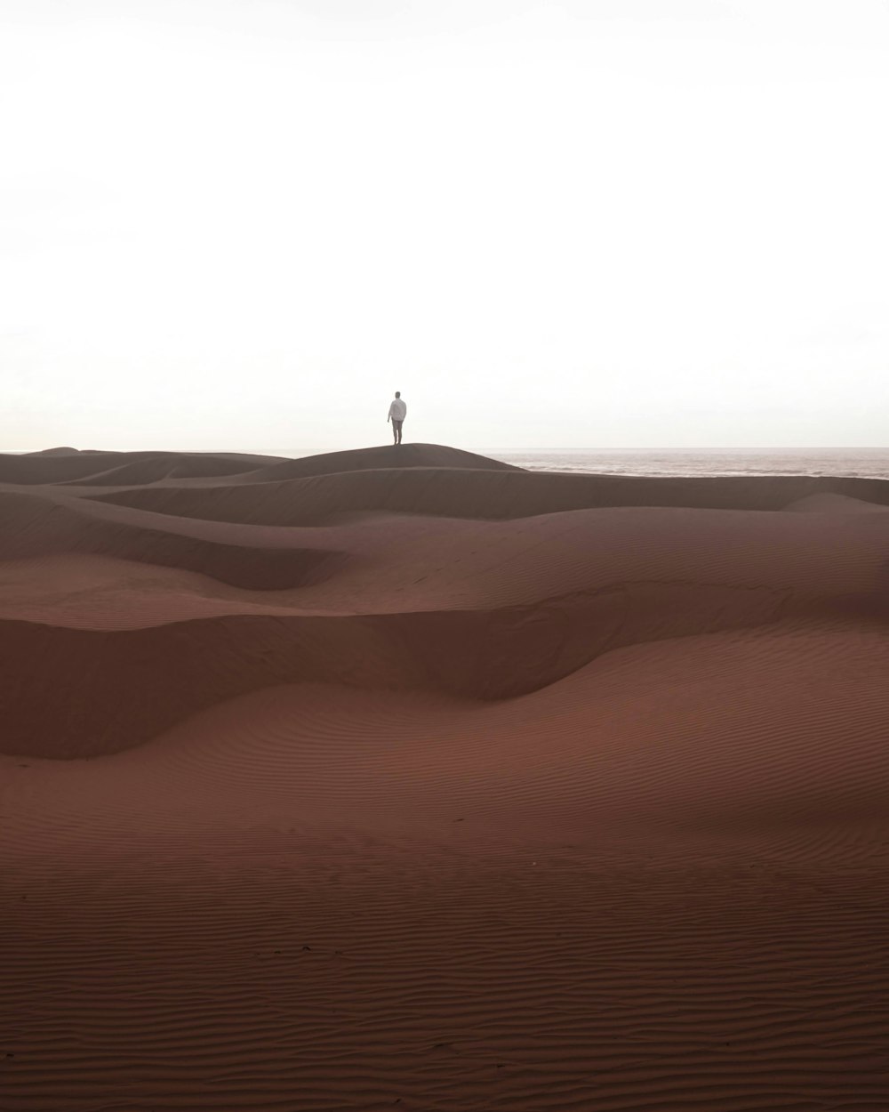 a person standing in a desert