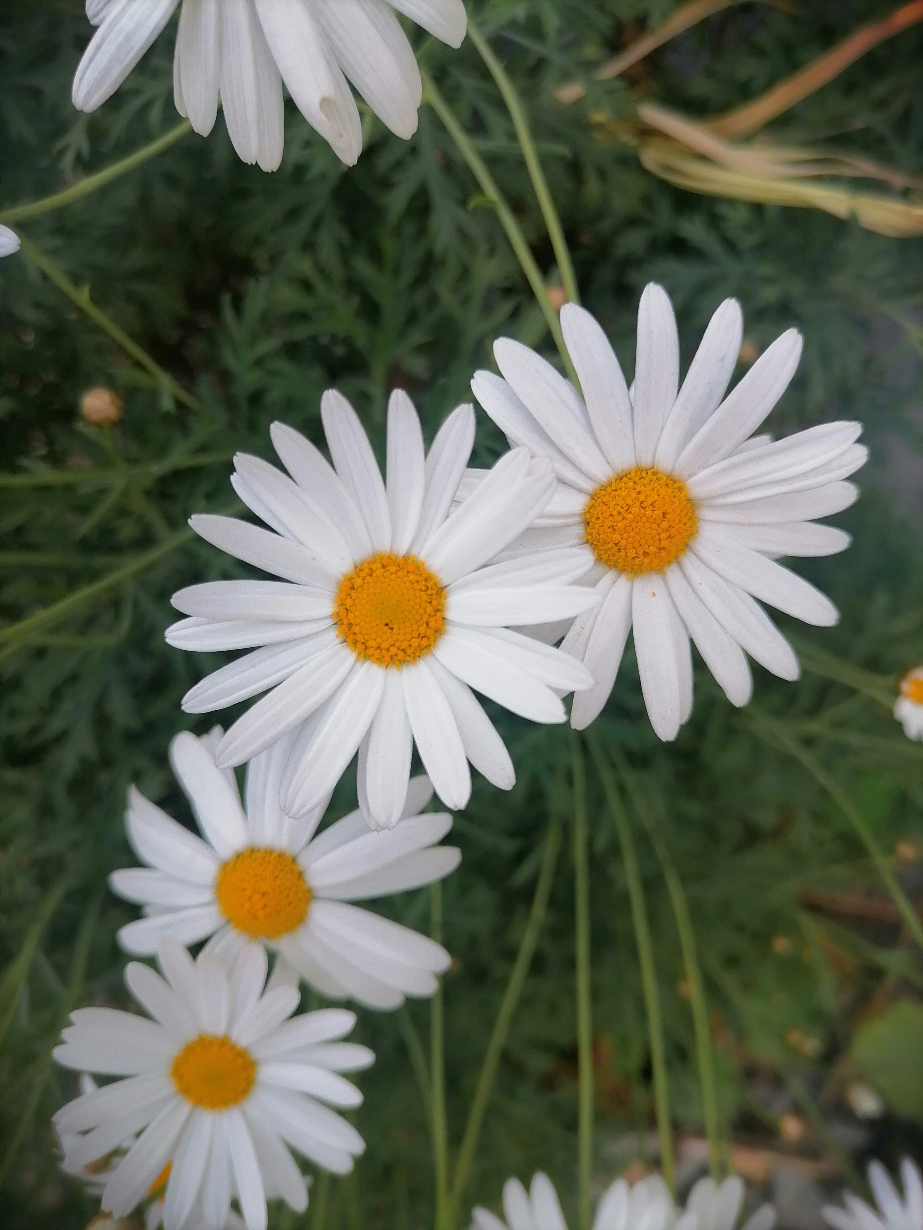 Photo by errorpixels