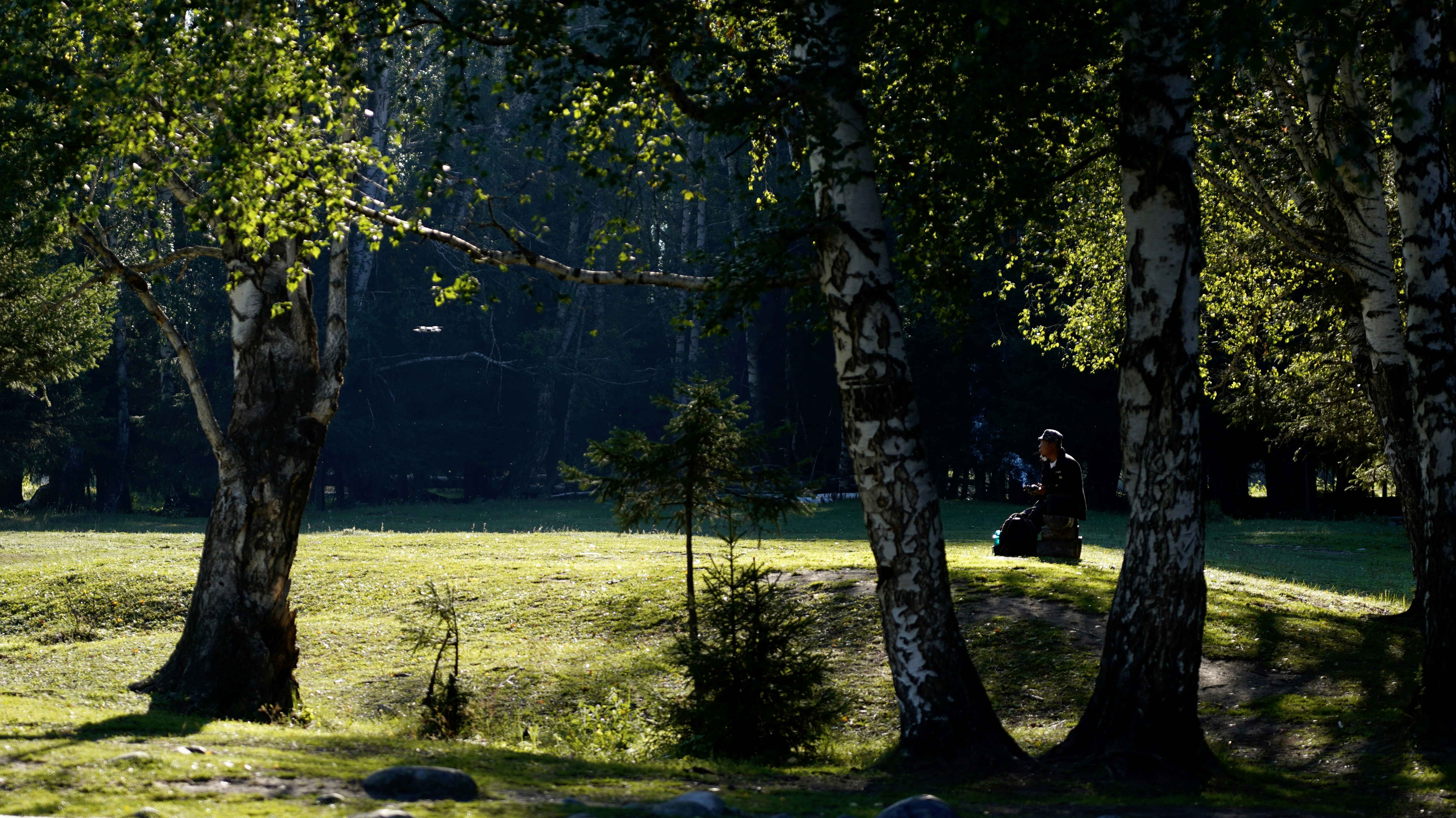 4. クマ撃退と美容鍼灸の未来: 専門家が提案する新時代の対策