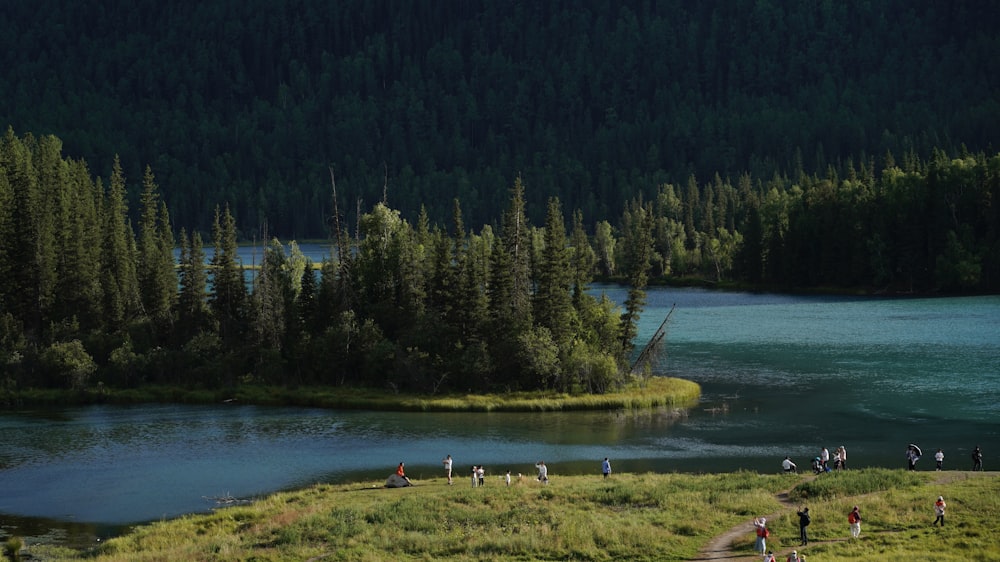 a group of people on a grassy hill by a lake