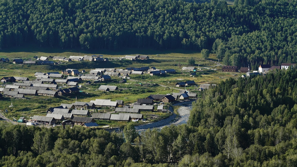 a group of houses in a wooded area