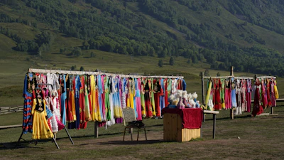 Colorful display of handmade pet clothes hanging on a vibrant backdrop
