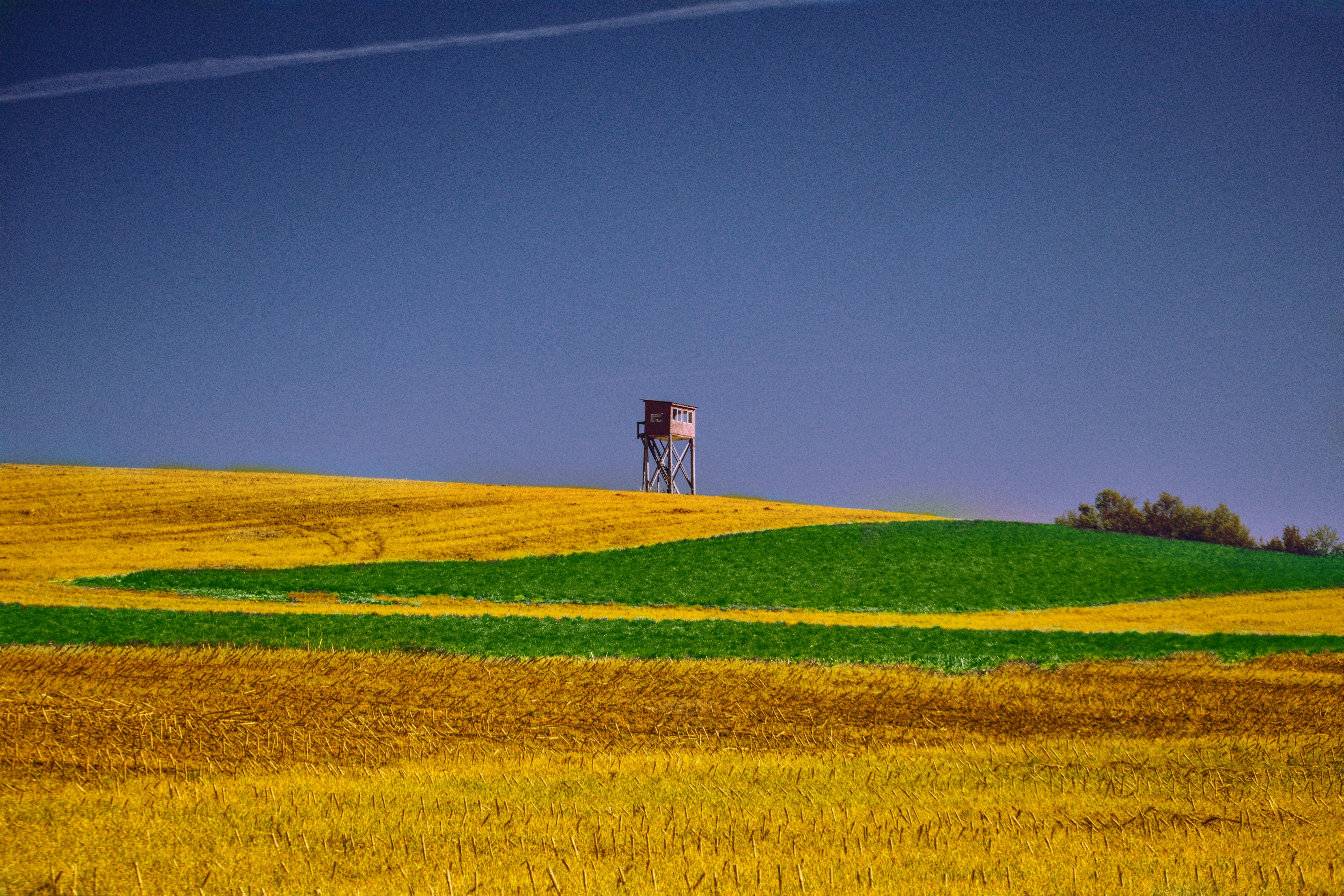 un champ d’herbe et un panneau