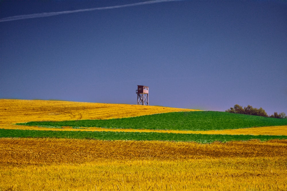 a field of grass and a sign