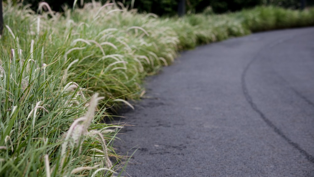 a road with grass on the side