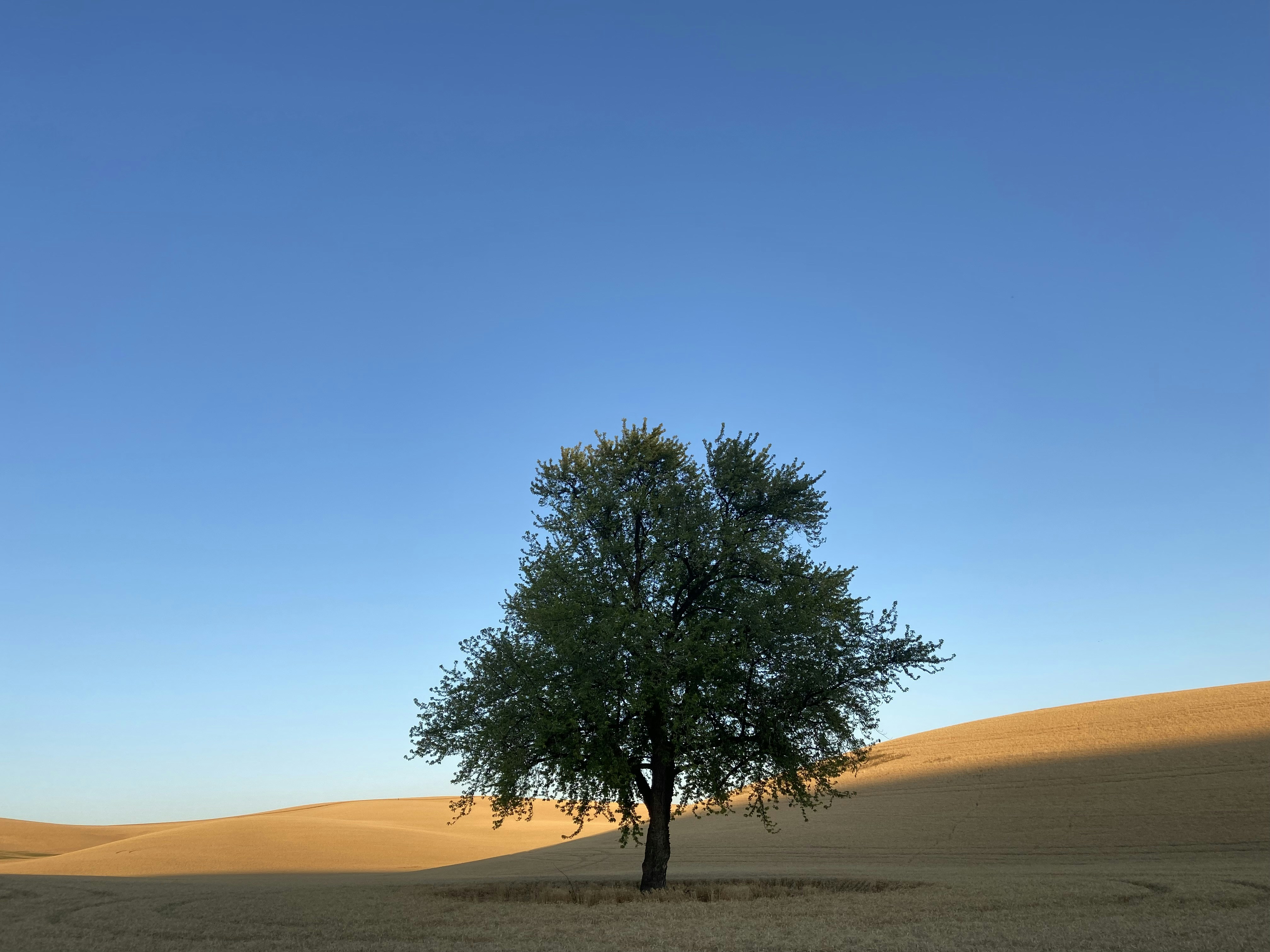 Photo by bisonnotbuffalo2016