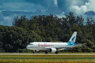 a large airplane on the runway