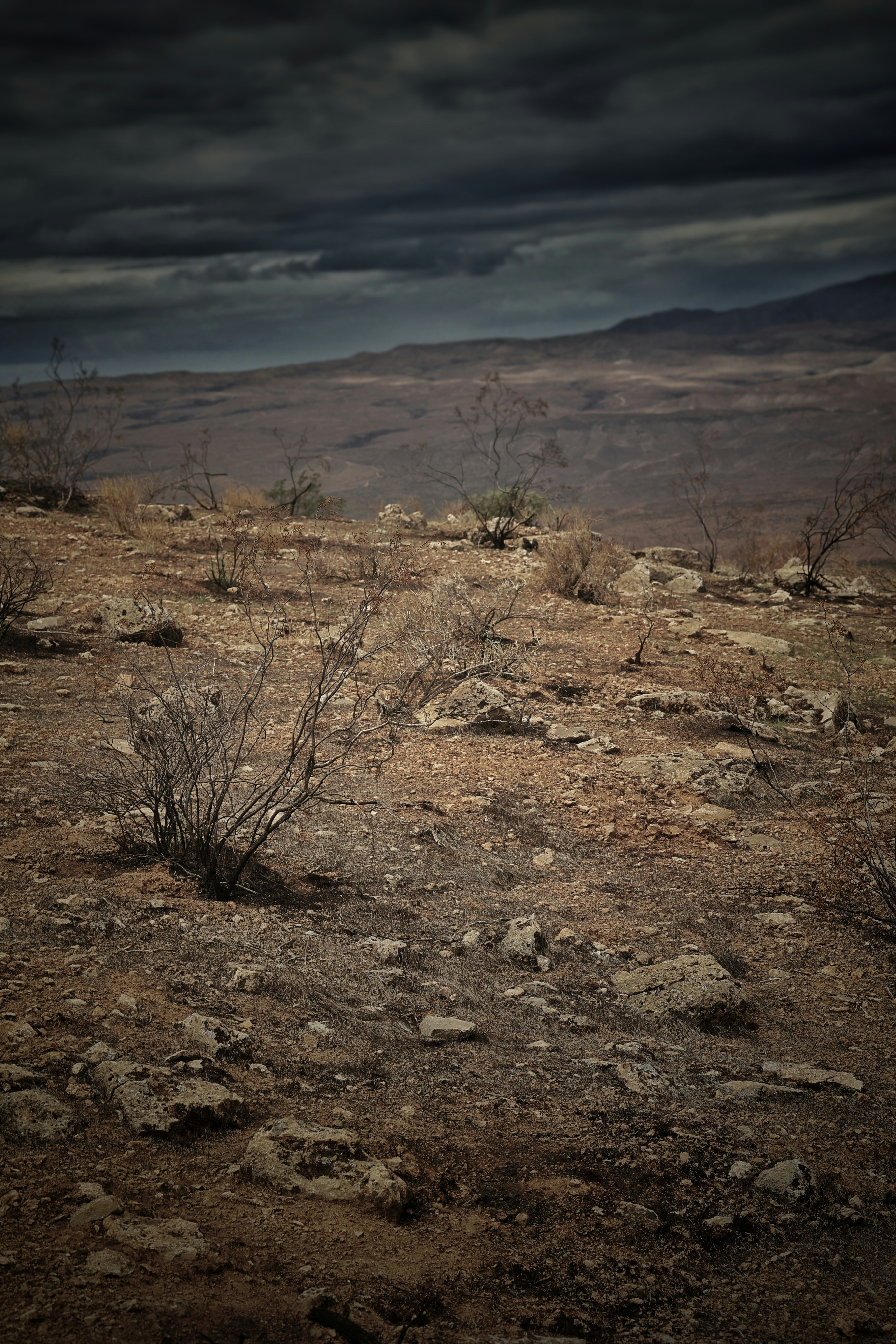 Photo by joshua_hoehne