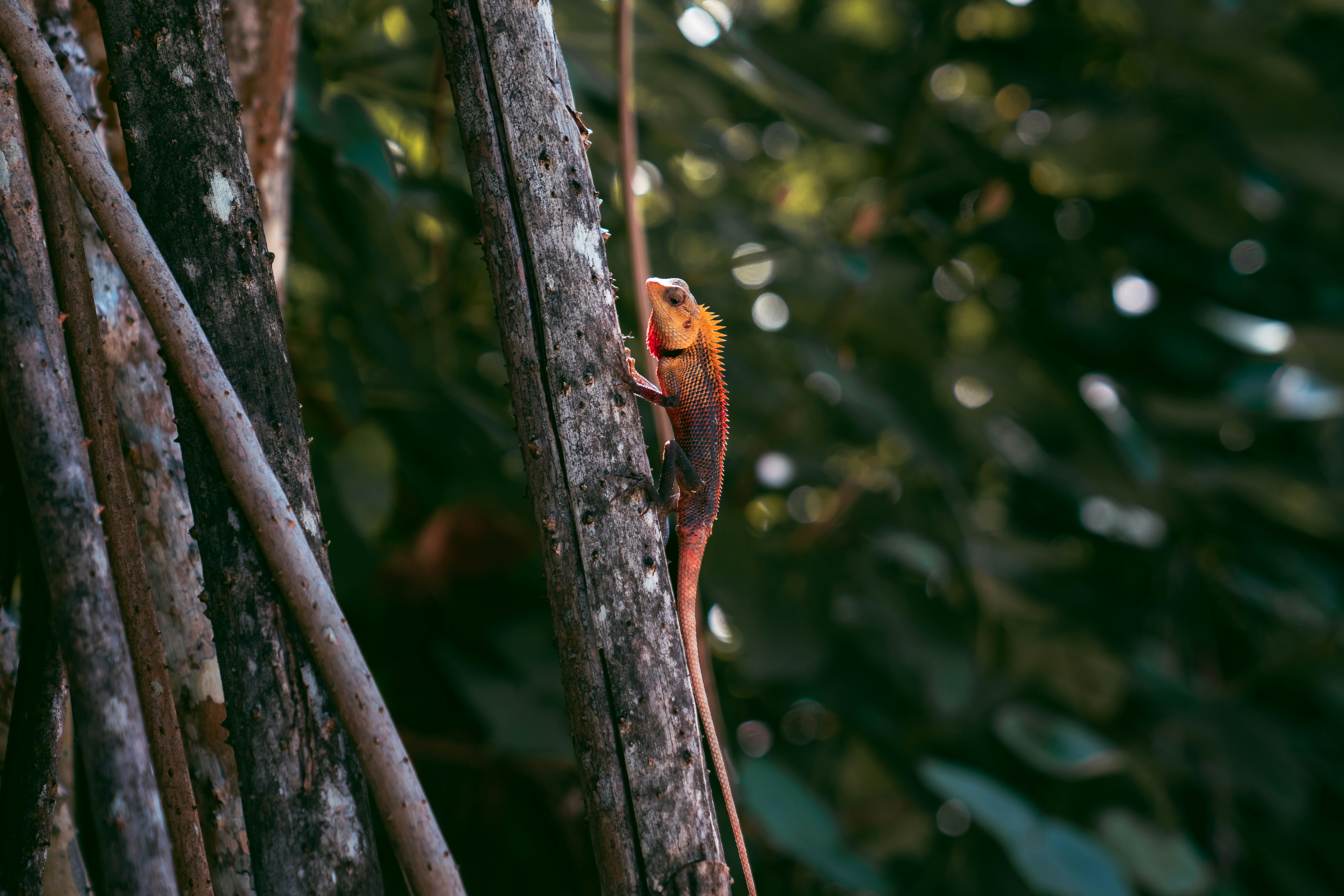 Photo by hussanamir