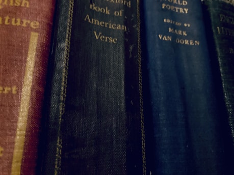 Several hardcover books with aged and textured spines are lined up vertically. The titles include references to literature and poetry, featuring a mix of red, black, and dark blue covers with gold lettering.