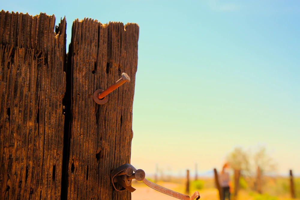 Old weathered fence post with a rusty nail