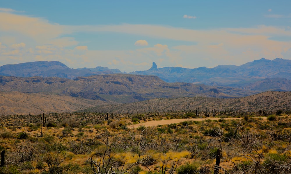 a landscape with hills and trees