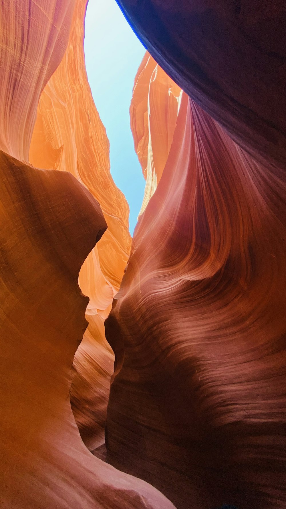 a close-up of a canyon