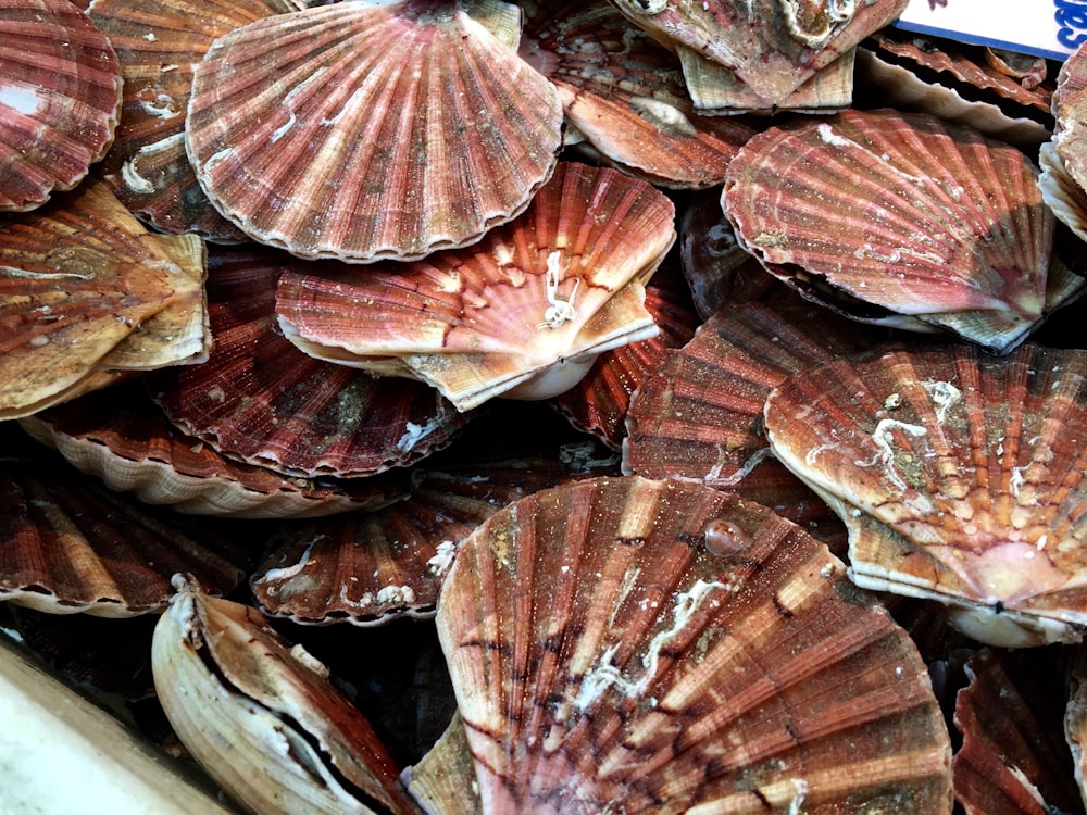 a pile of brown and red food