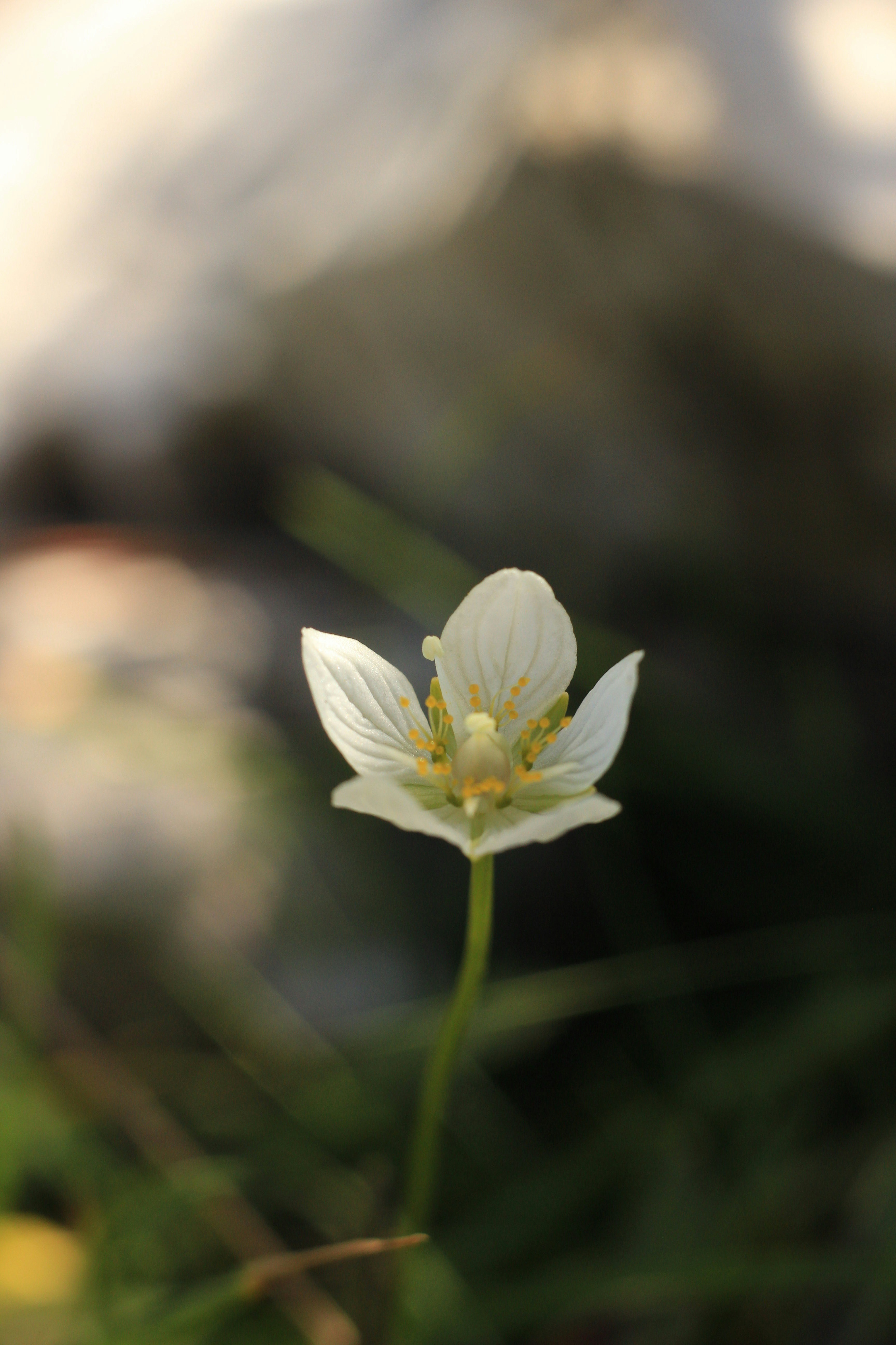 Photo by mattia_poli_04